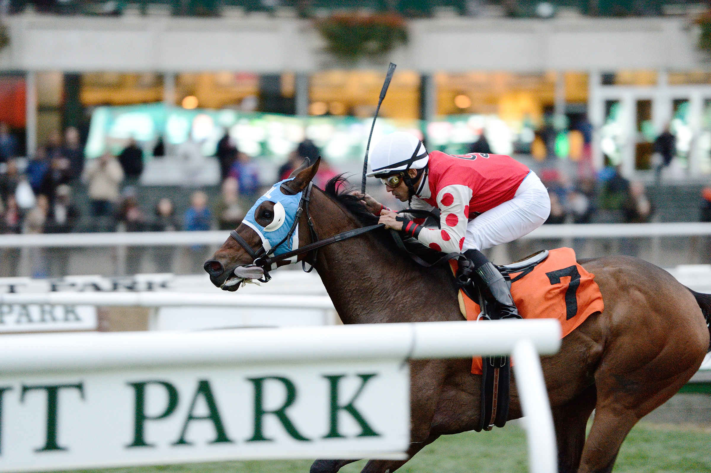 Invading Humor wins the Ticonderoga Stakes