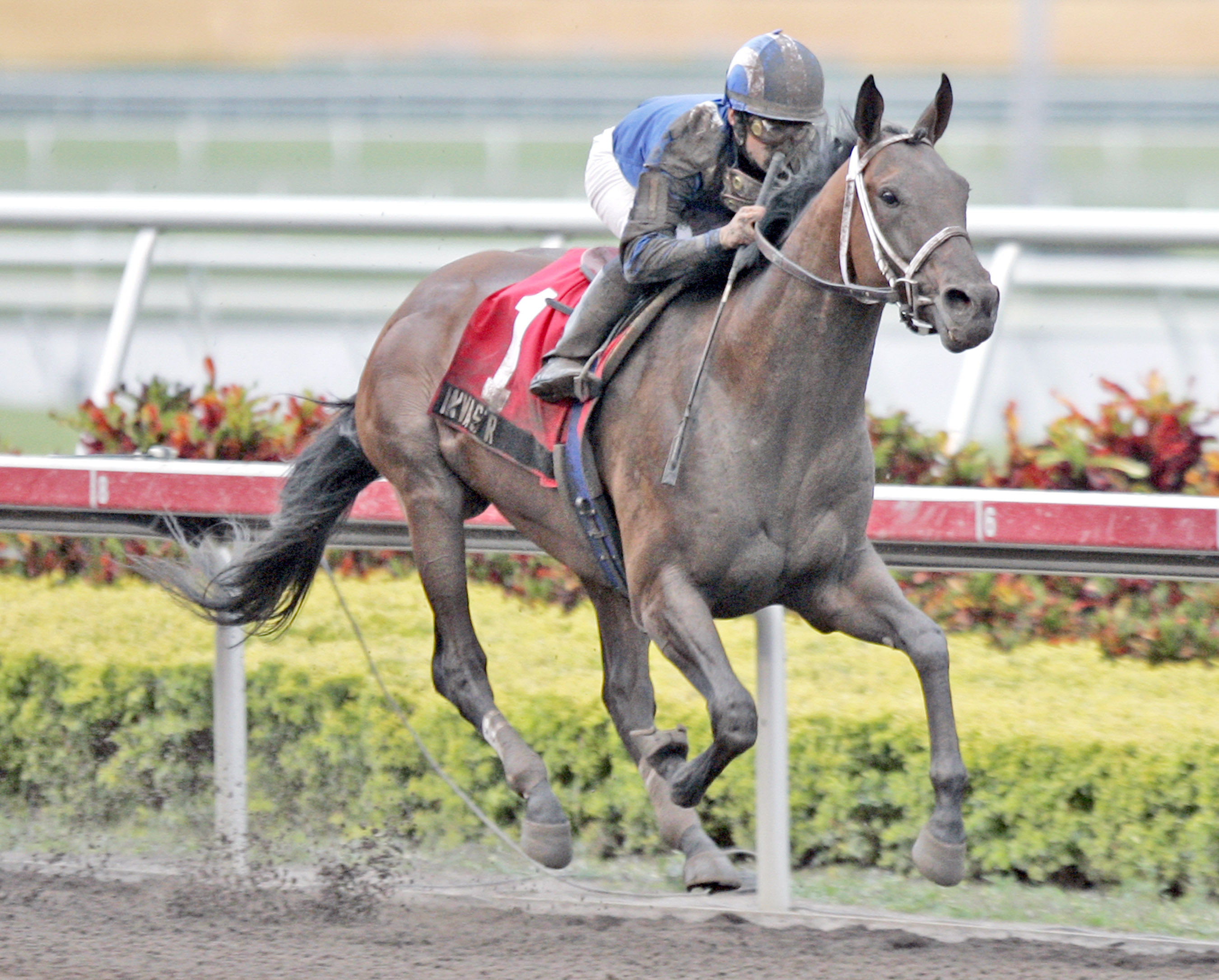 Invasor/2007 Donn Handicap