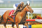 Invasor