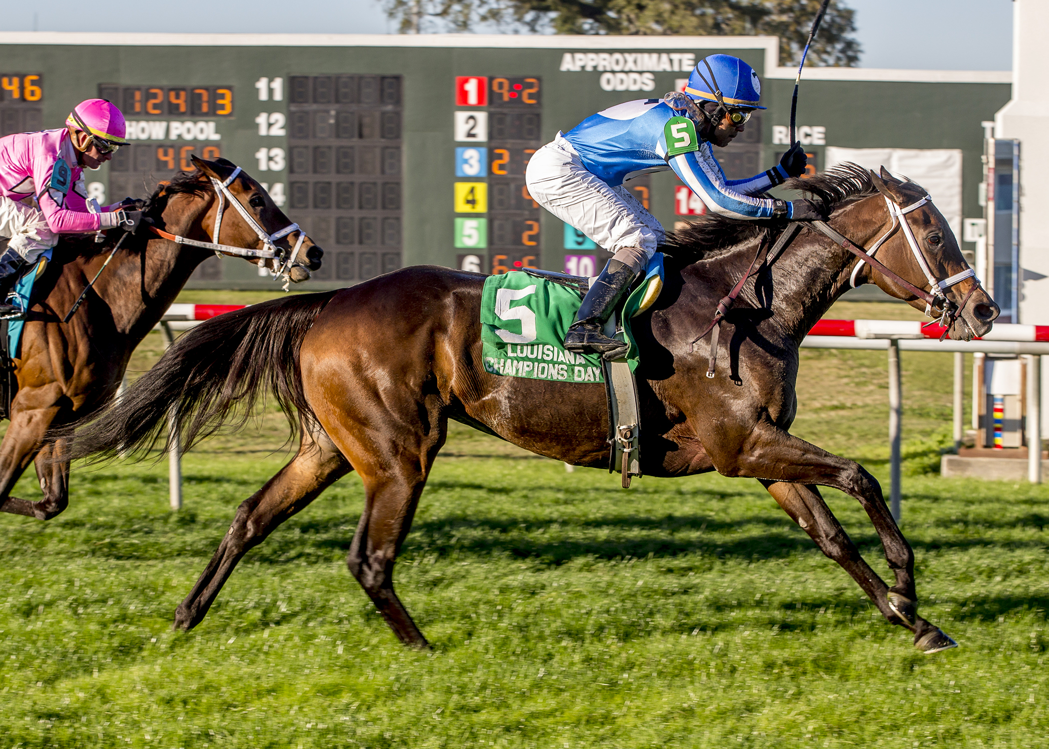 Inveniam Viam wins the Louisiana Champions Day Ladies Turf