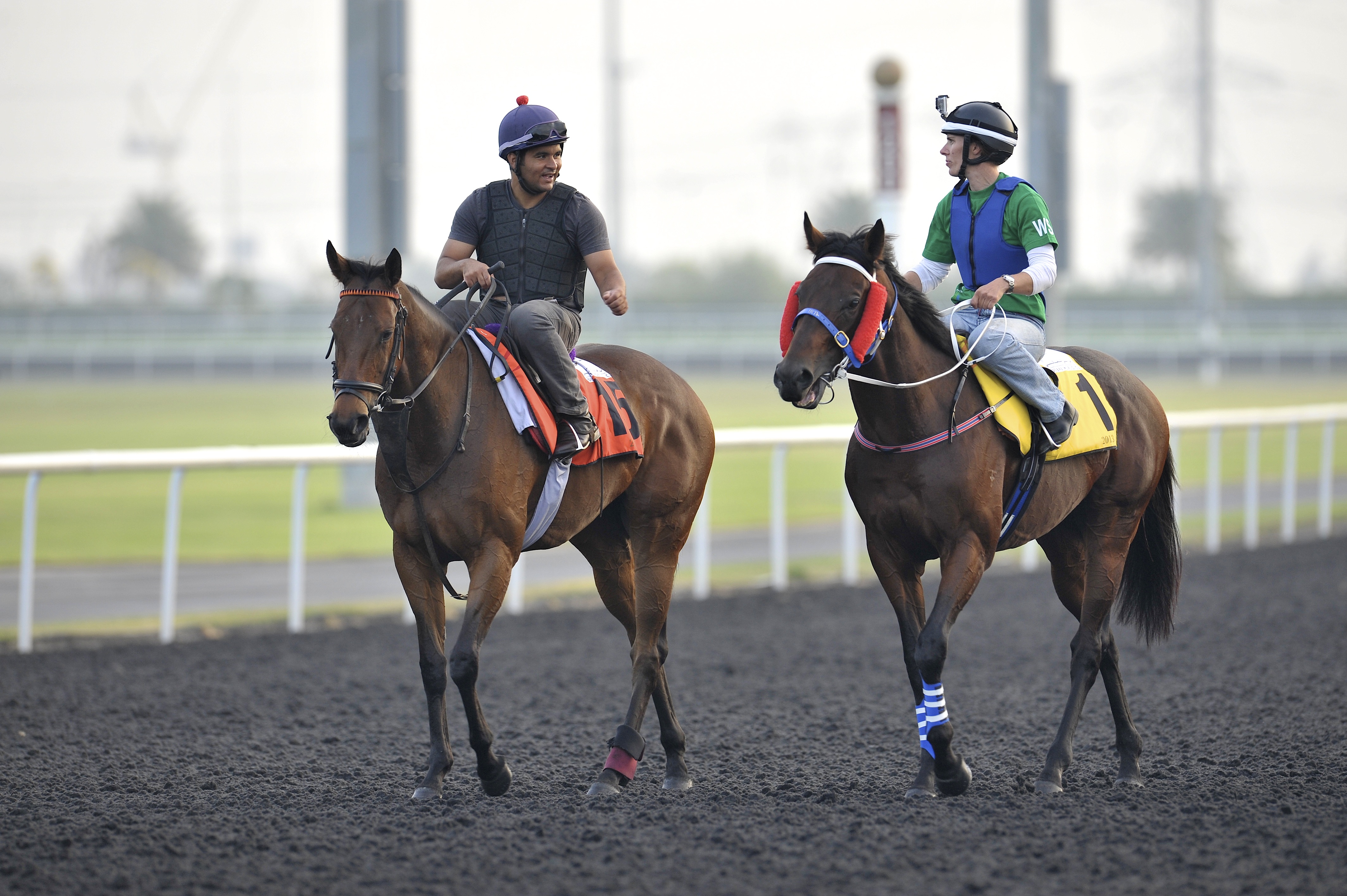 Ocean Park and Invincible Ash at Dubai