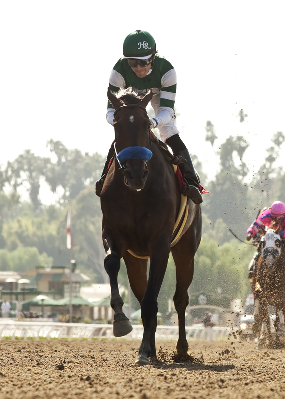 Iotapa wins 2014 Vanity