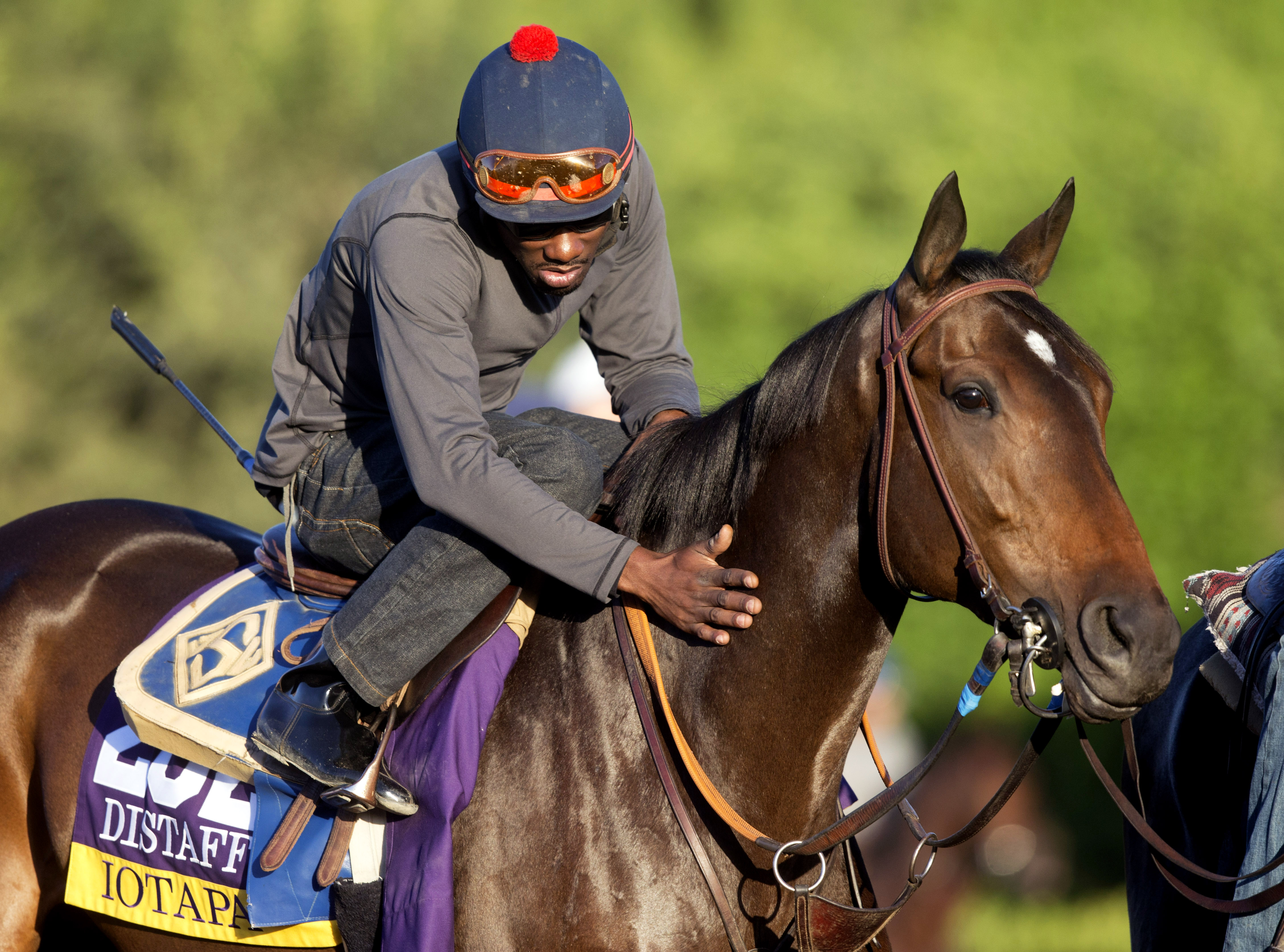 Iotapa at Santa Anita on Oct. 28