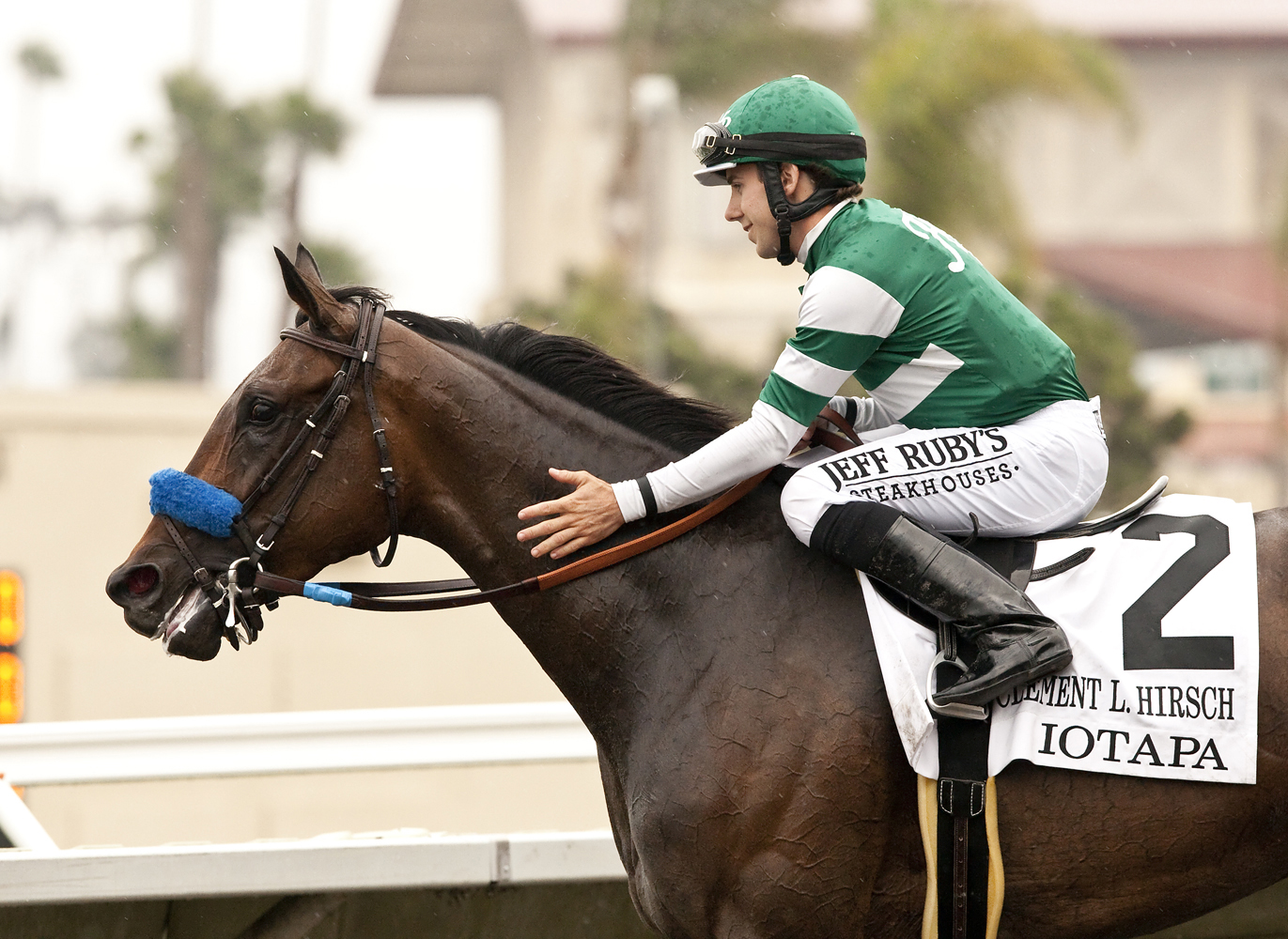 Iotapa after winning the Clement L. Hirsch