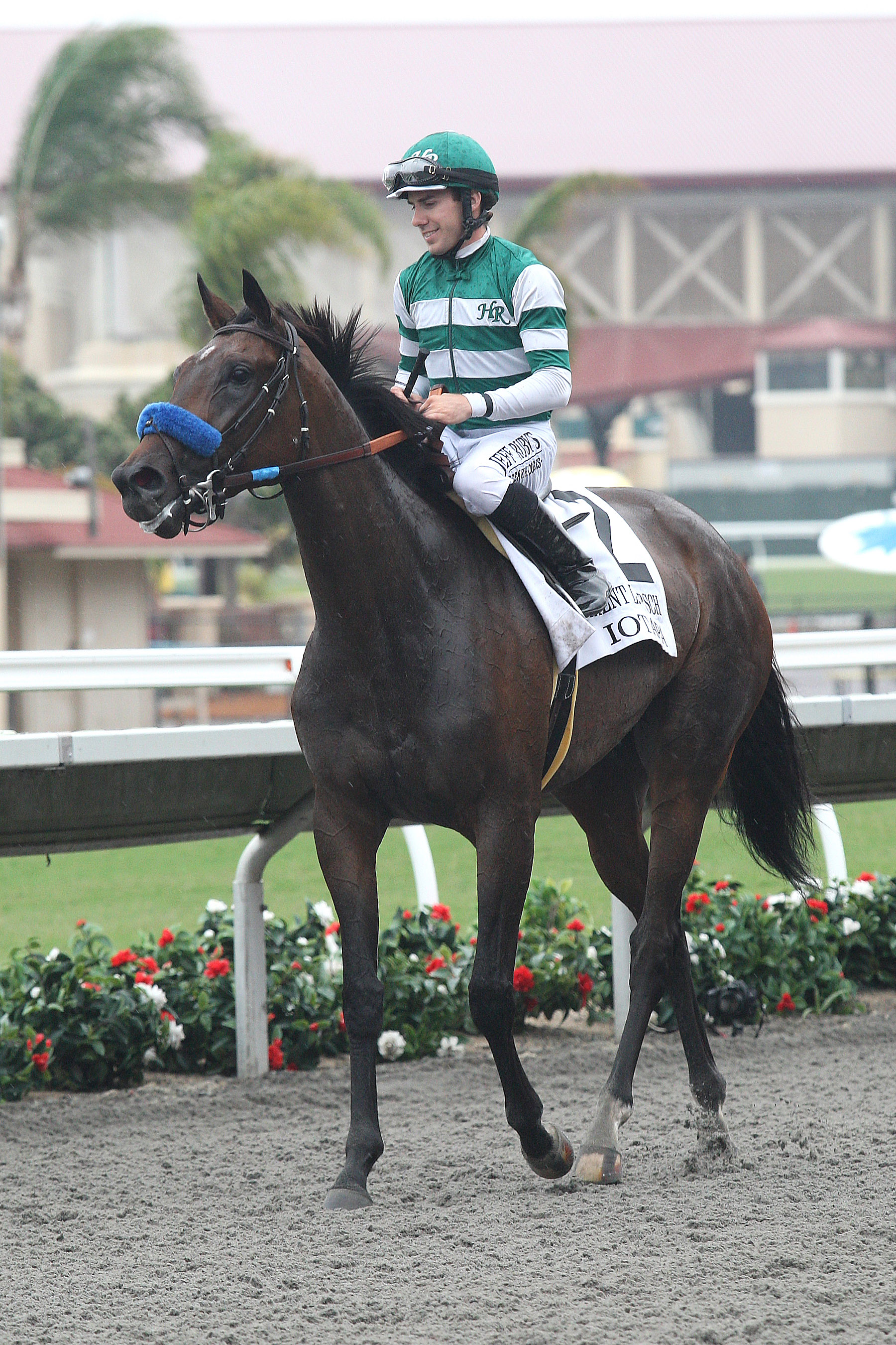 Iotapa 8-2-14
