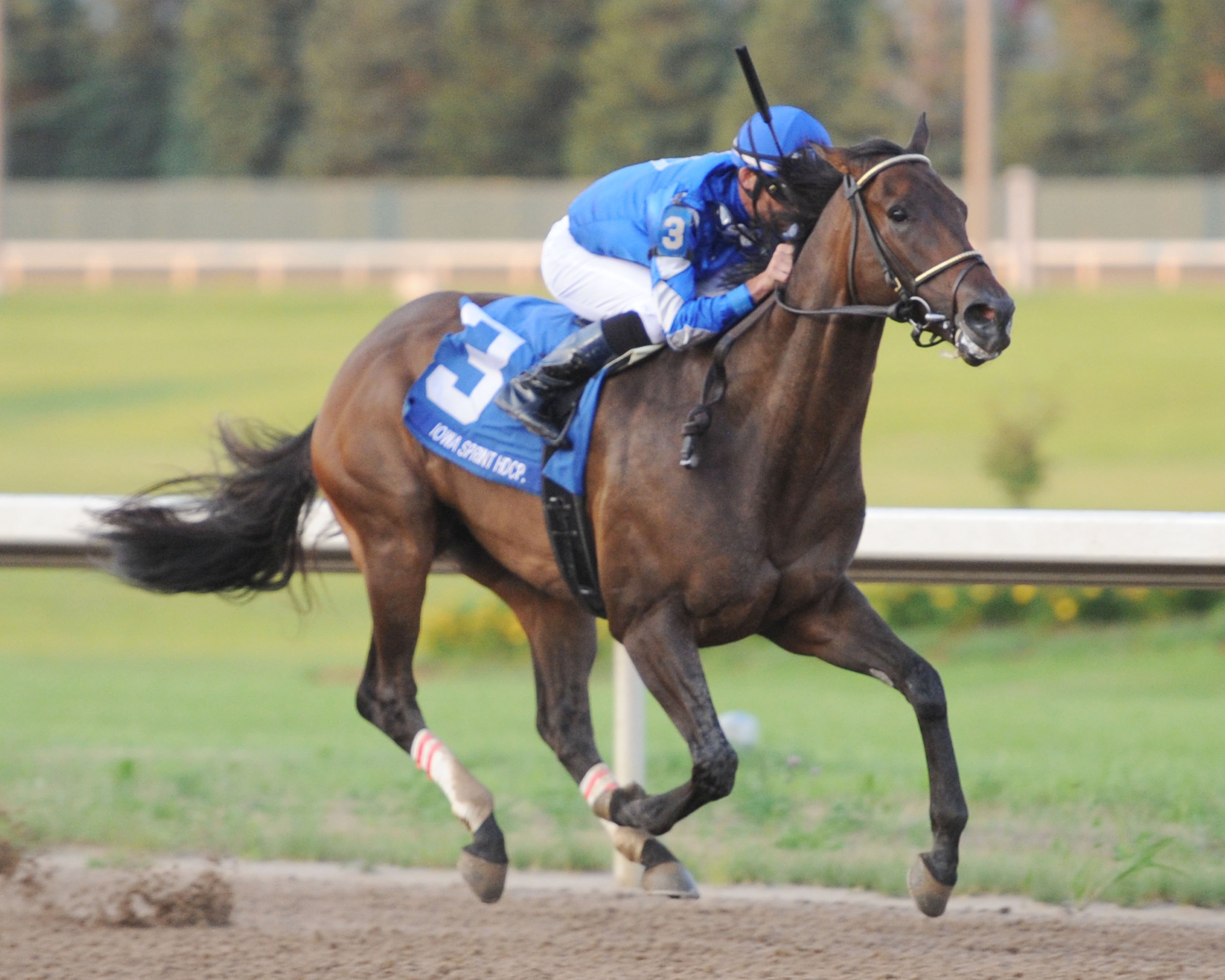 Done Deal wins the 2018 Iowa Sprint