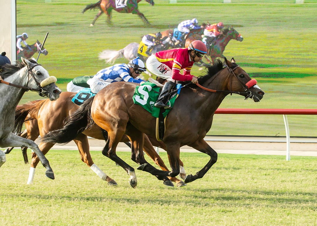 Ippodamia's Girl wins the 2021 Osunitas Stakes at Del Mar