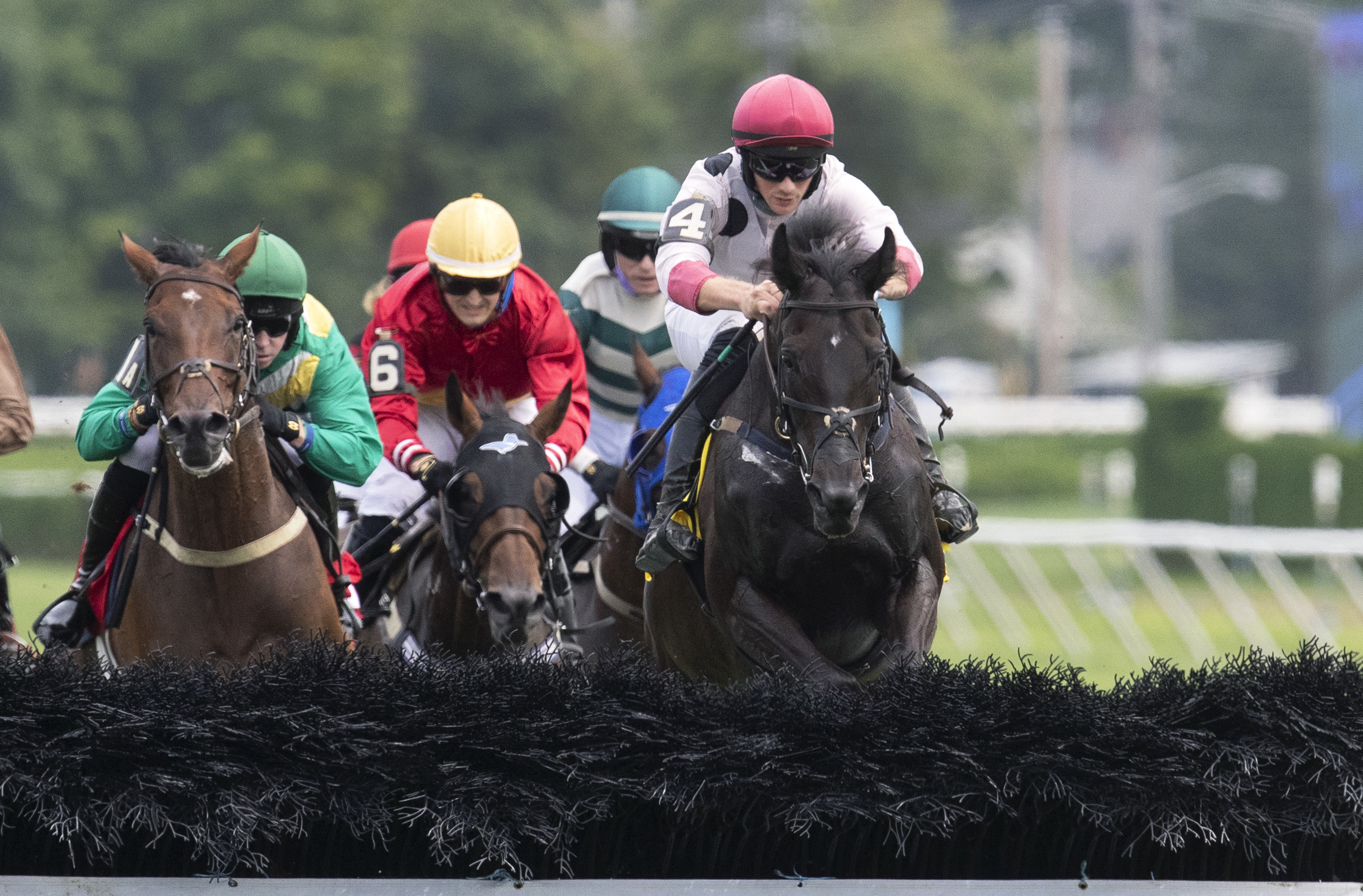 Iranistan wins a handicap at Saratoga on Aug 13 2020.BL.jpg