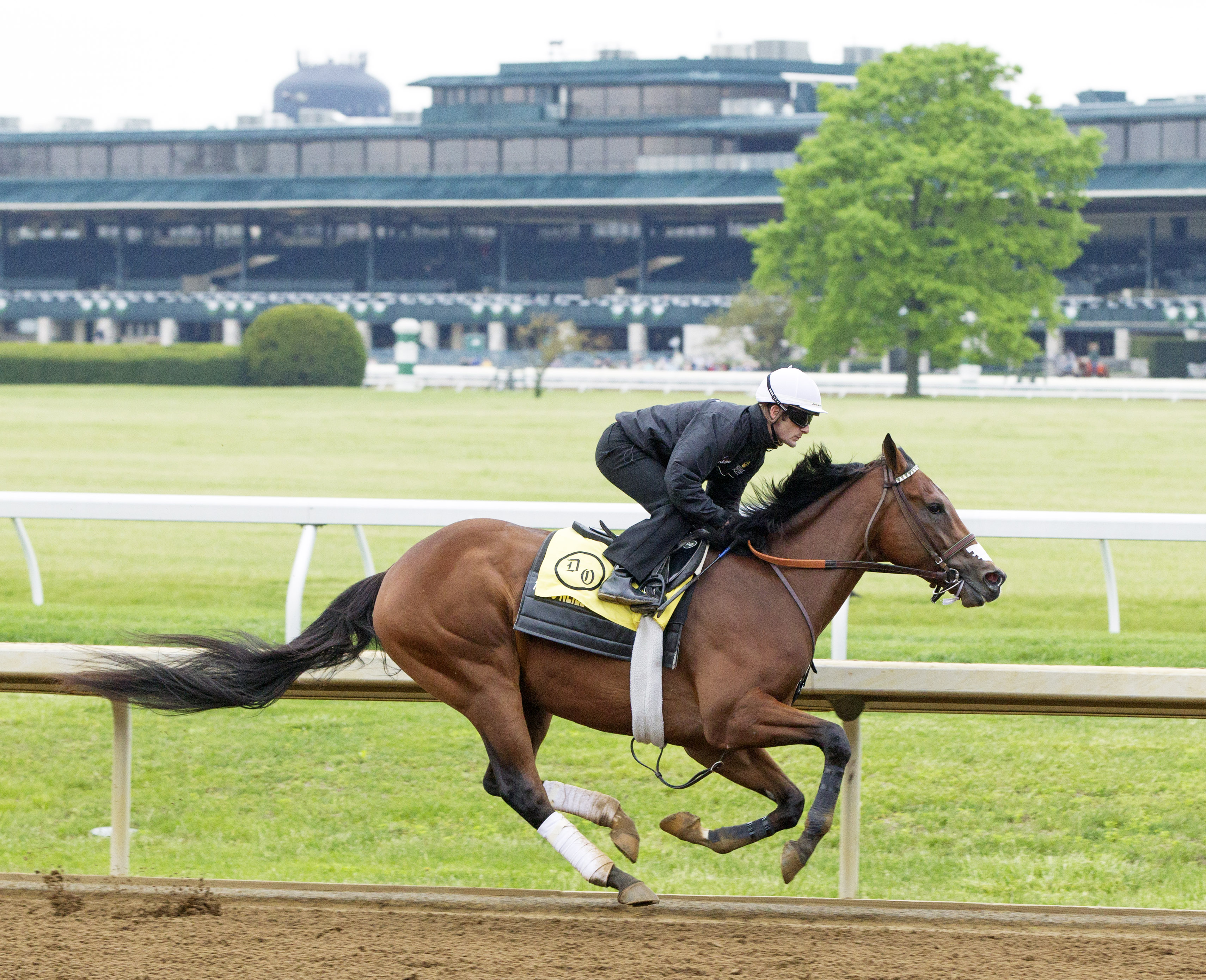 Irap trains at Keeneland on April 21