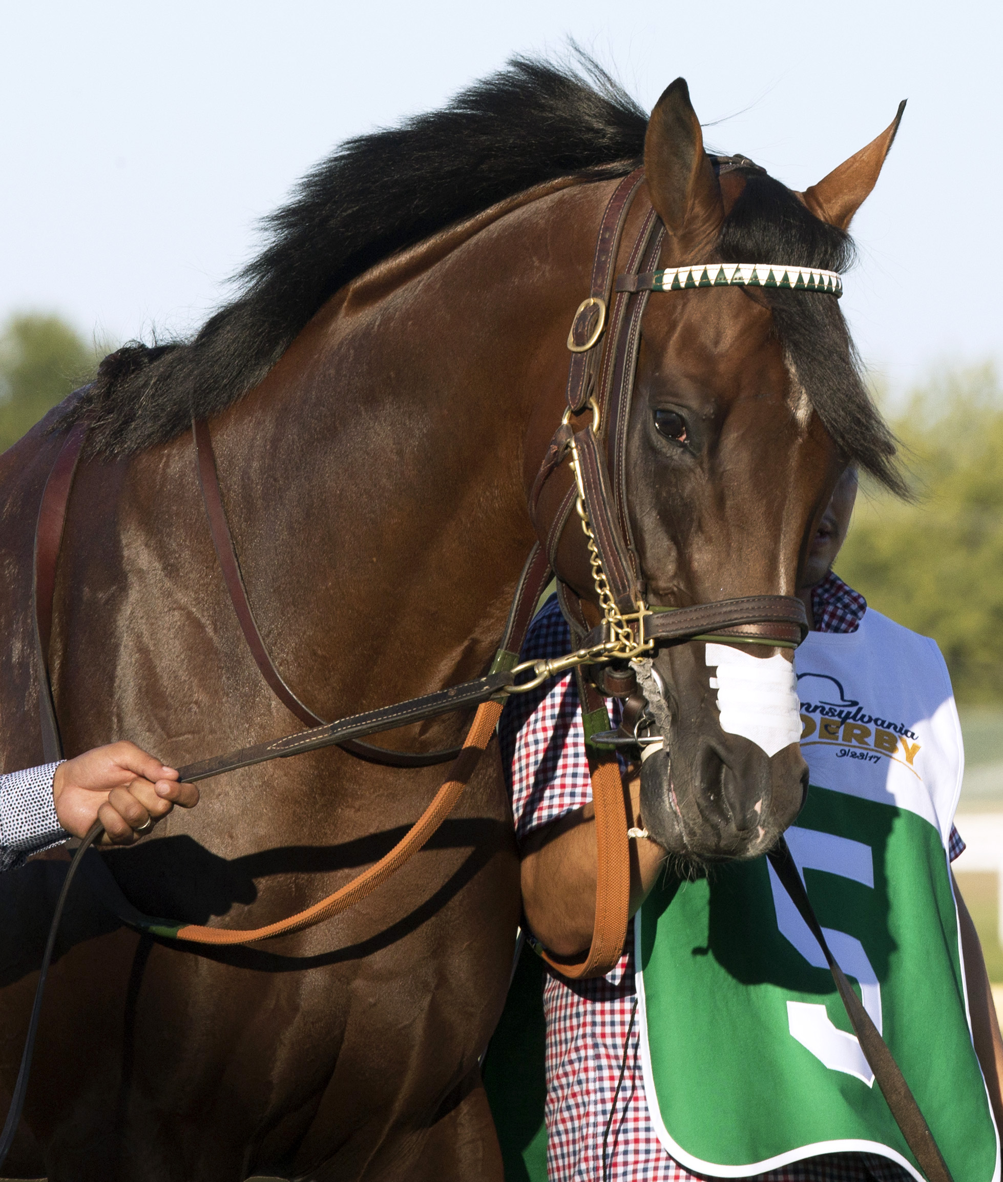 Irap on Sept. 23