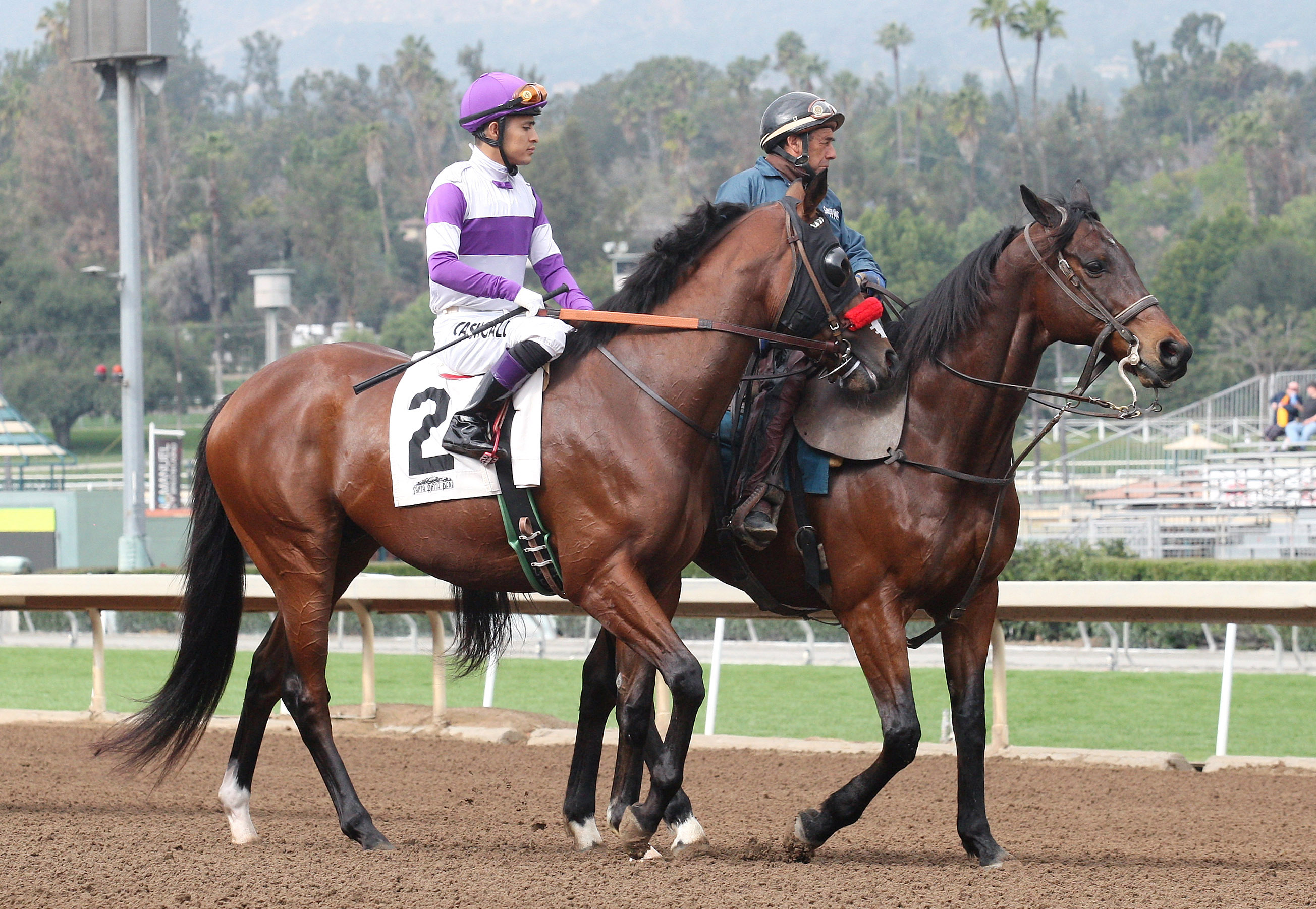 Irap at Santa Anita on Feb. 4