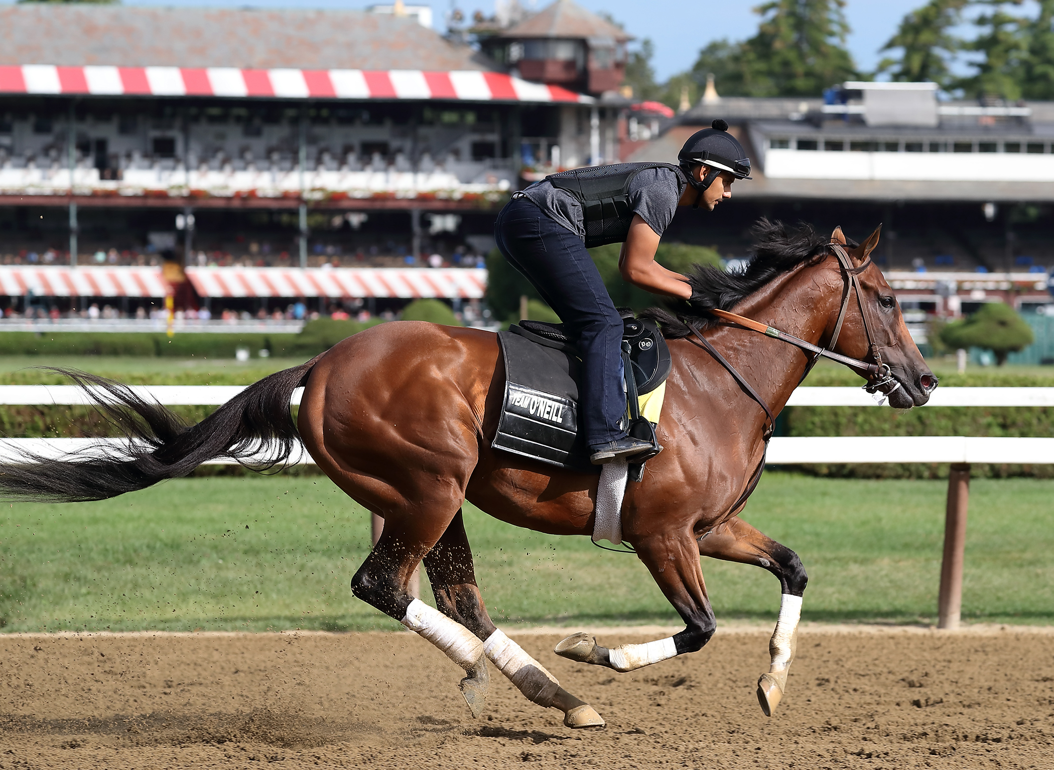 Irap trains at Saratoga on Aug. 25, 2017