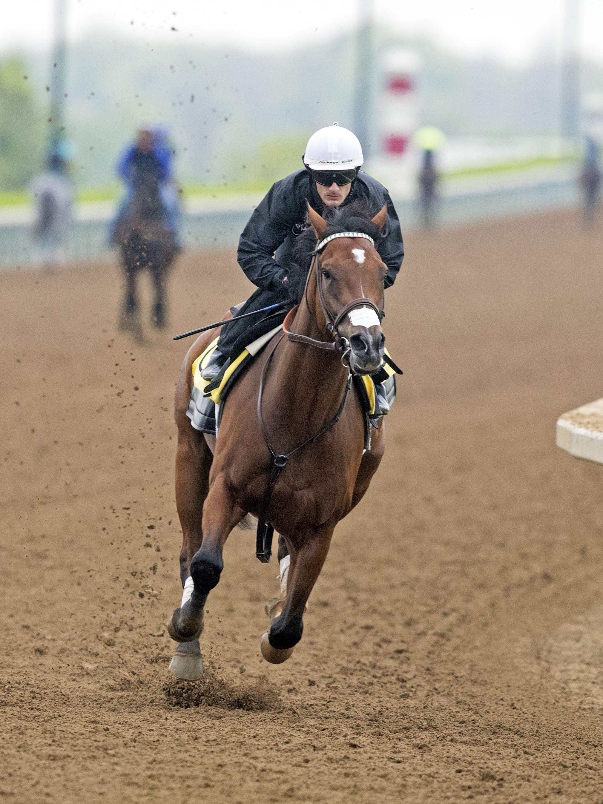 Irap trains at Keeneland on April 21