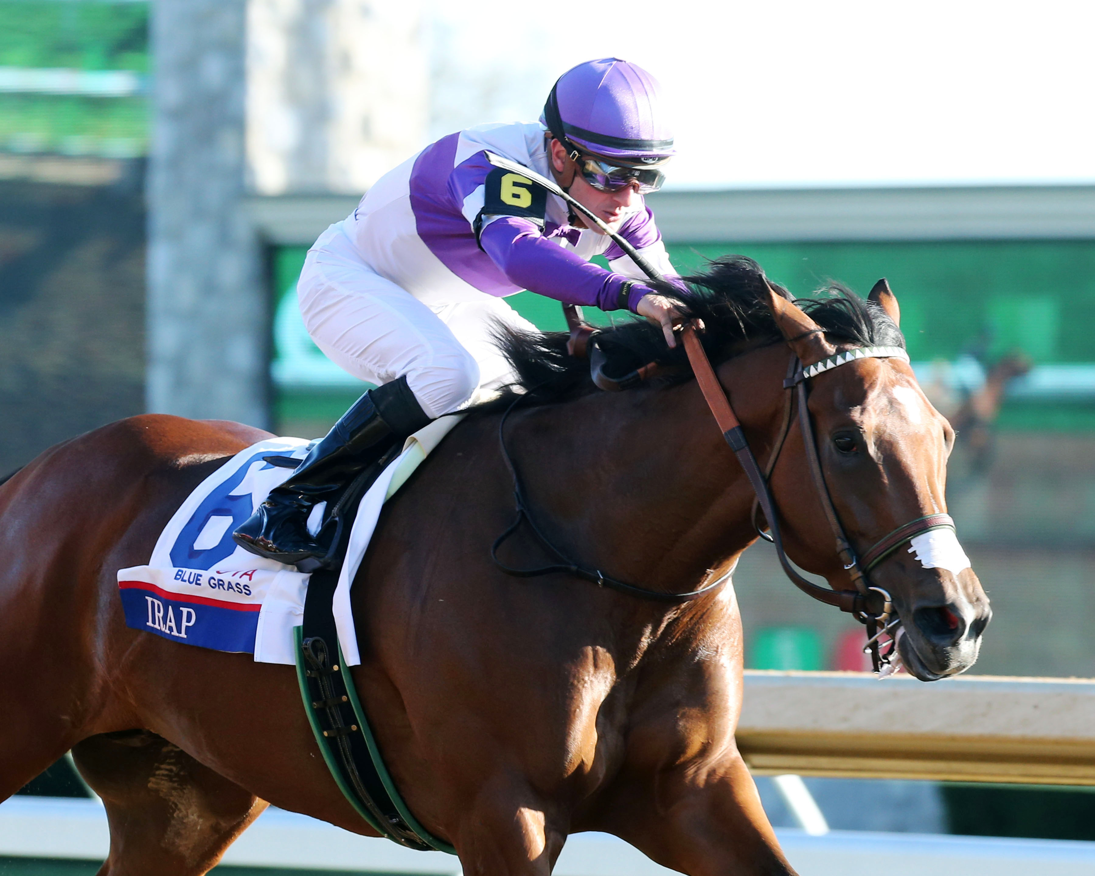 Irap wins the Blue Grass