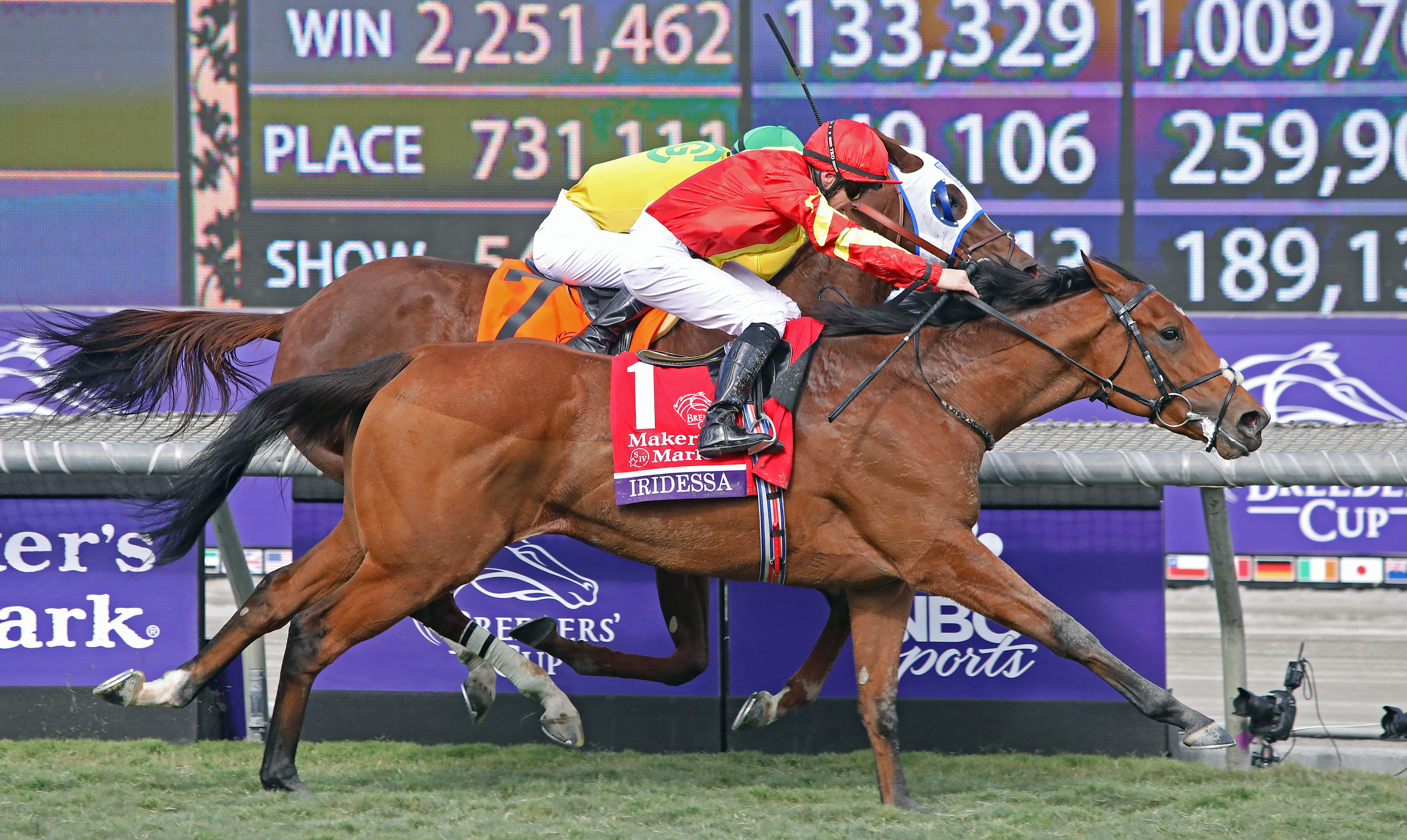 Iridessa wins the 2019 BC Filly and Mare Turf