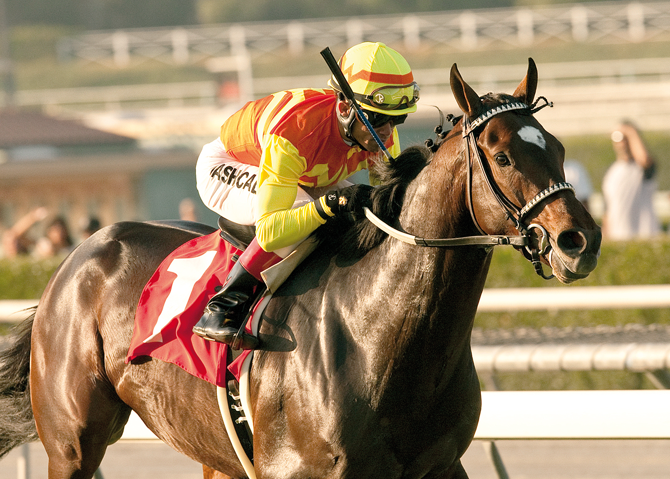 Irish Art, 2011 Uniformity Stakes