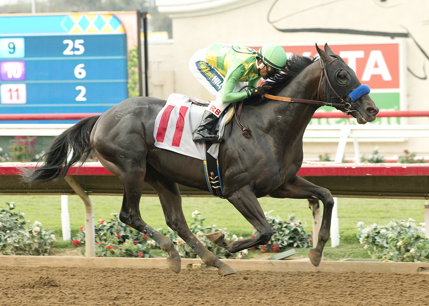 Irish Freedom wins an Aug. 13, 2017 allowance race