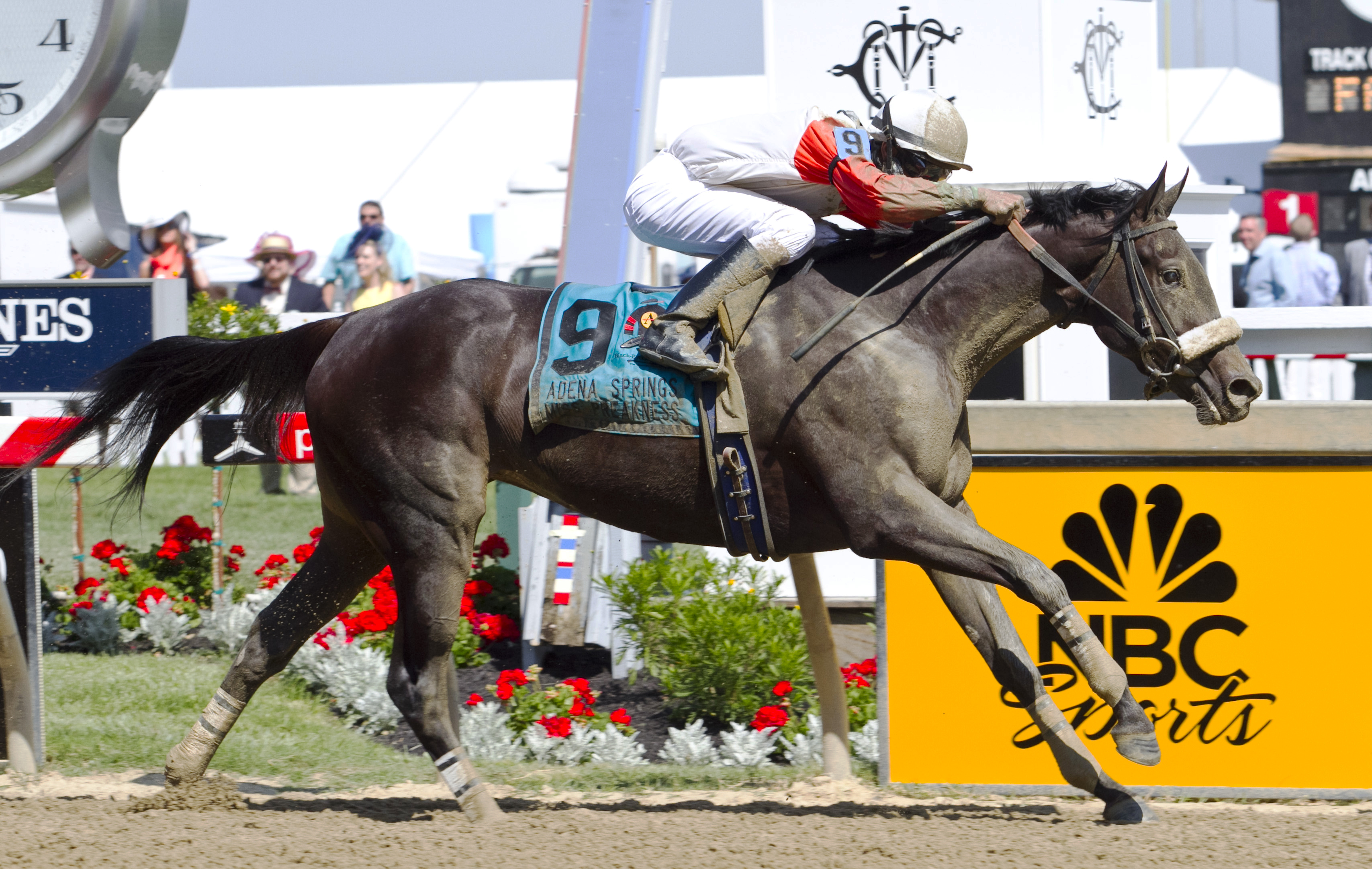 Irish Jasper wins the Miss Preakness