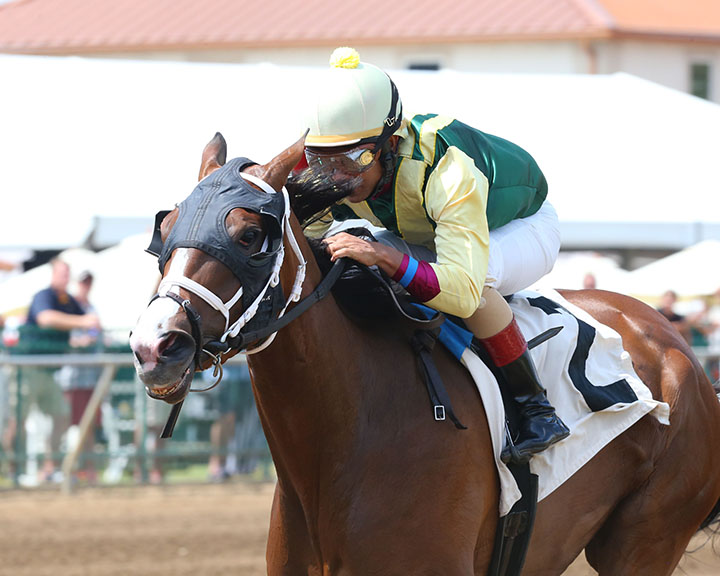 Irish Mischief wins a July 27 allowance at Ellis Park
