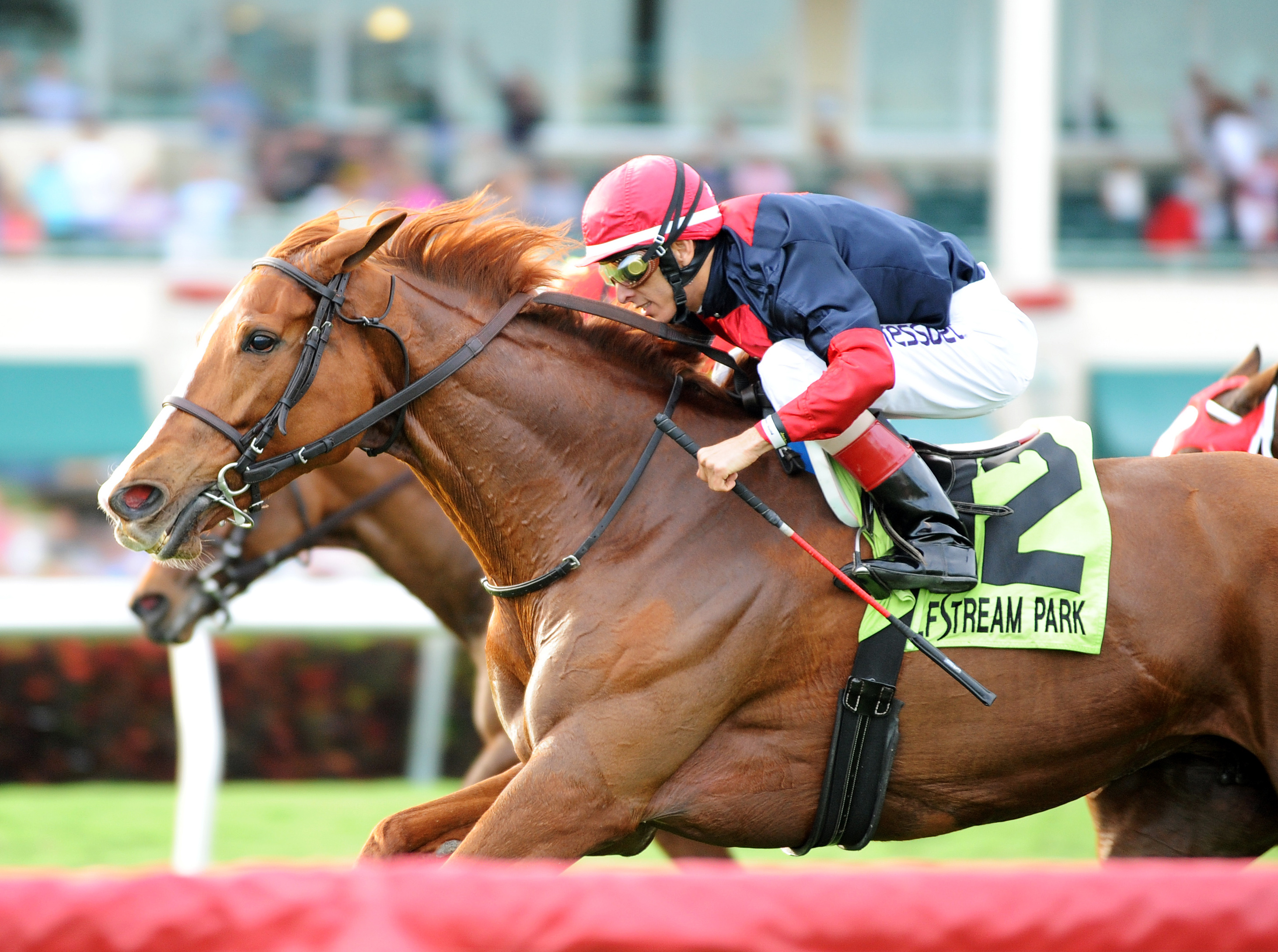 Irish Mission wins the La Prevoyante Handicap