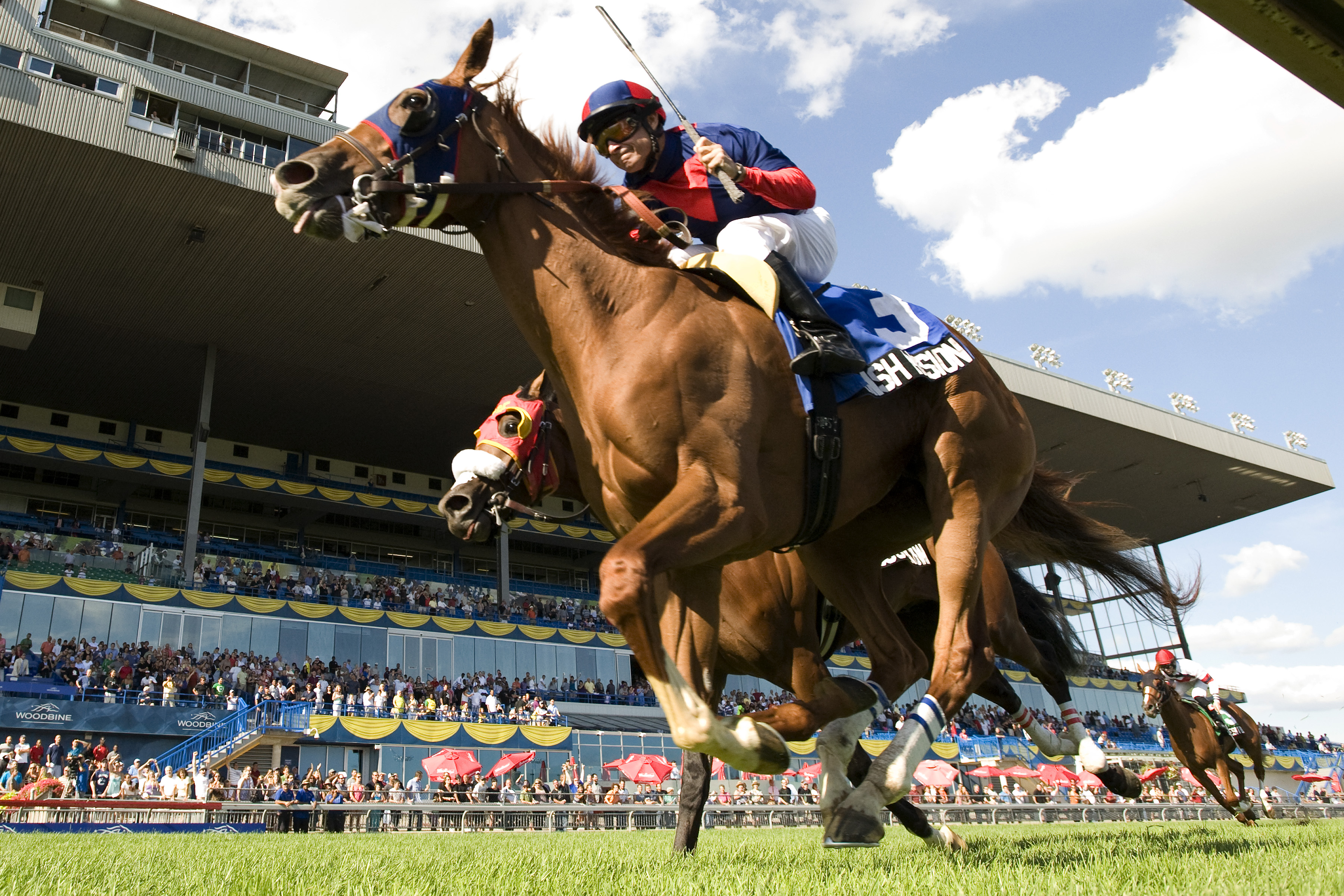 Irish Mission/Breeders' Stakes