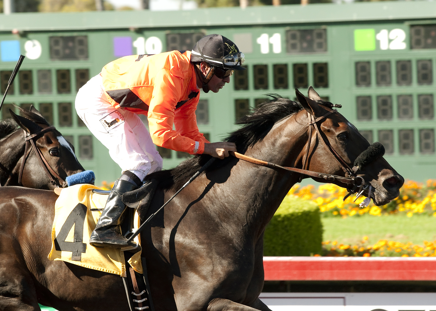 Irish Presence 9-21-2014