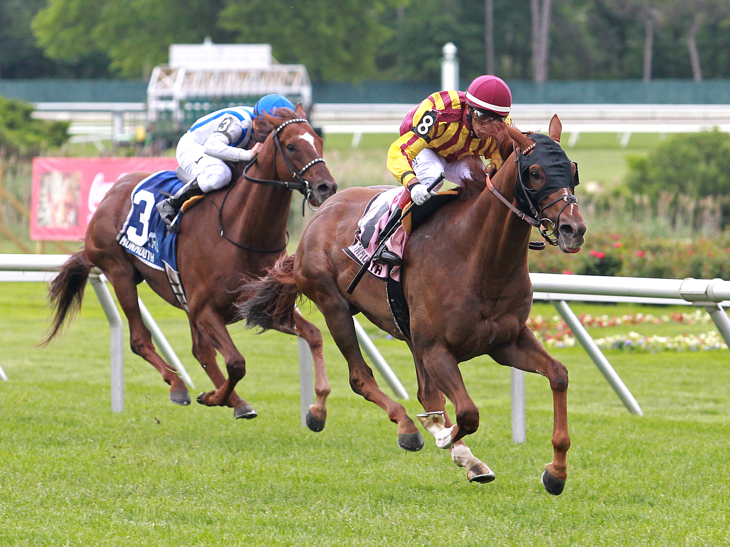 Irish Strait wins the 2017 Red Bank Stakes