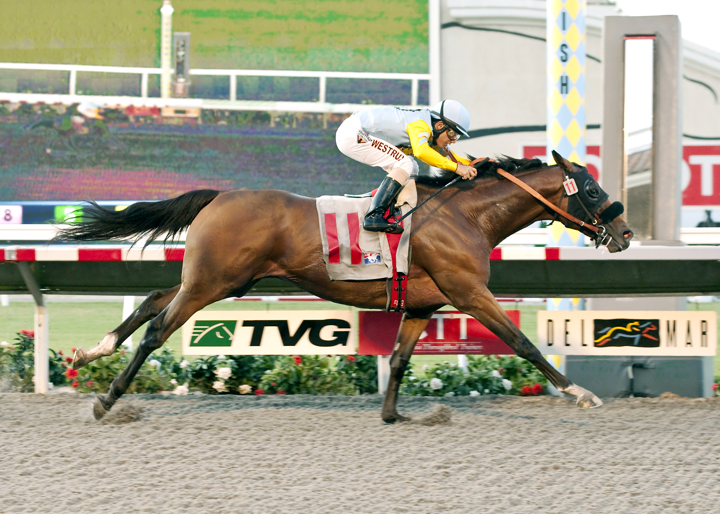 Irish Surf wins the Cougar II Handicap