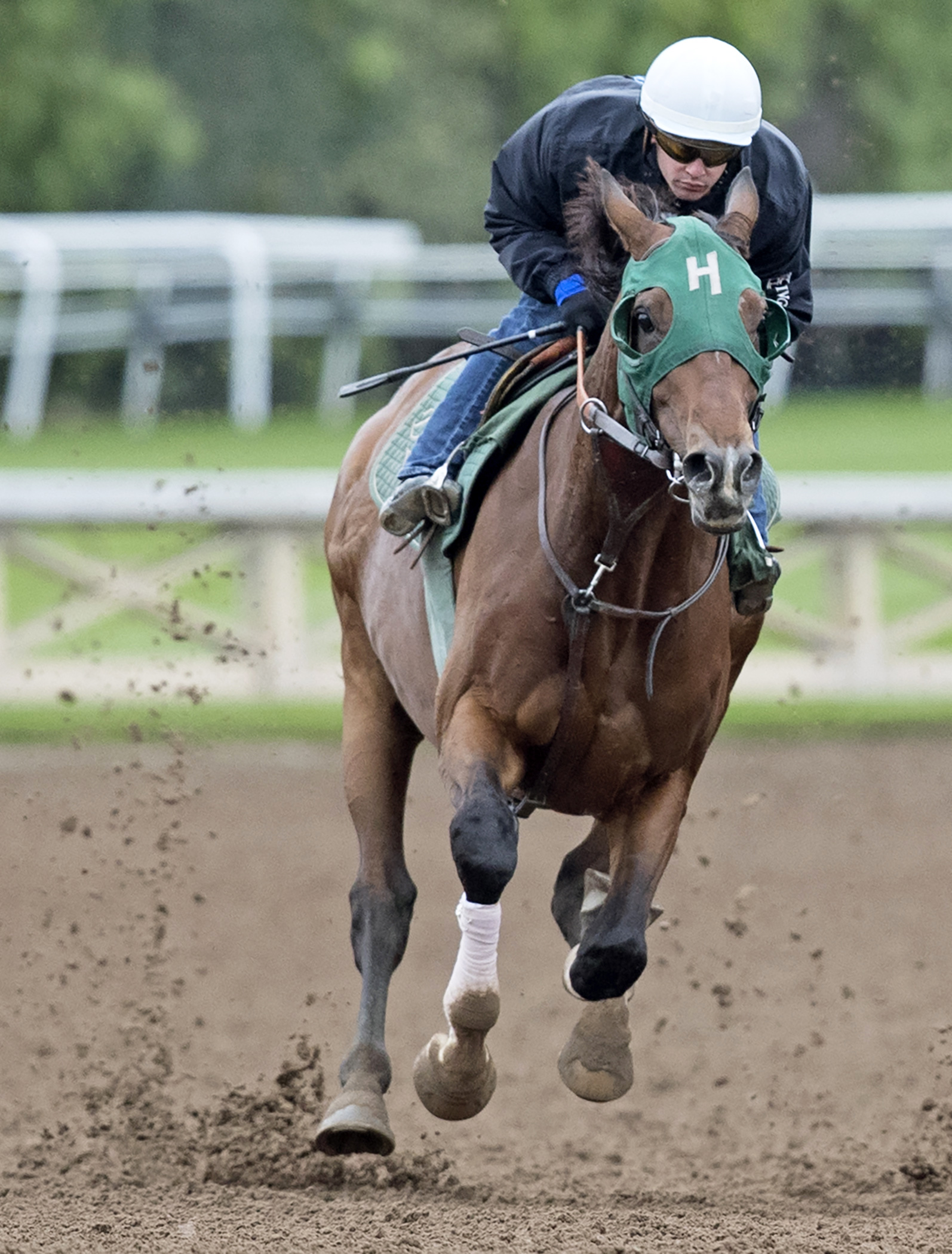 Irish Surf trains at Santa Anita on Feb. 27