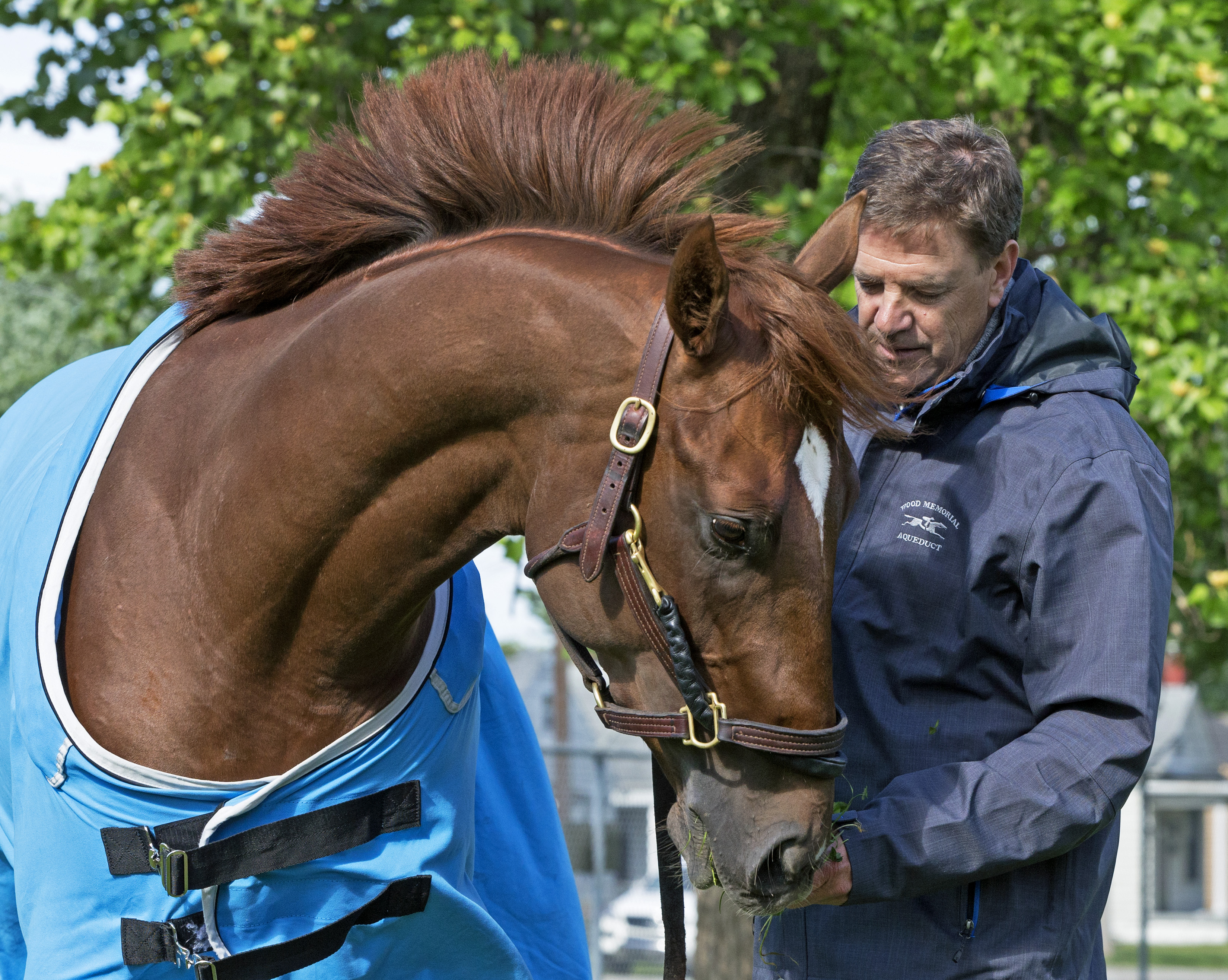 Irish War Cry with Graham Motion at Churchill on May 3