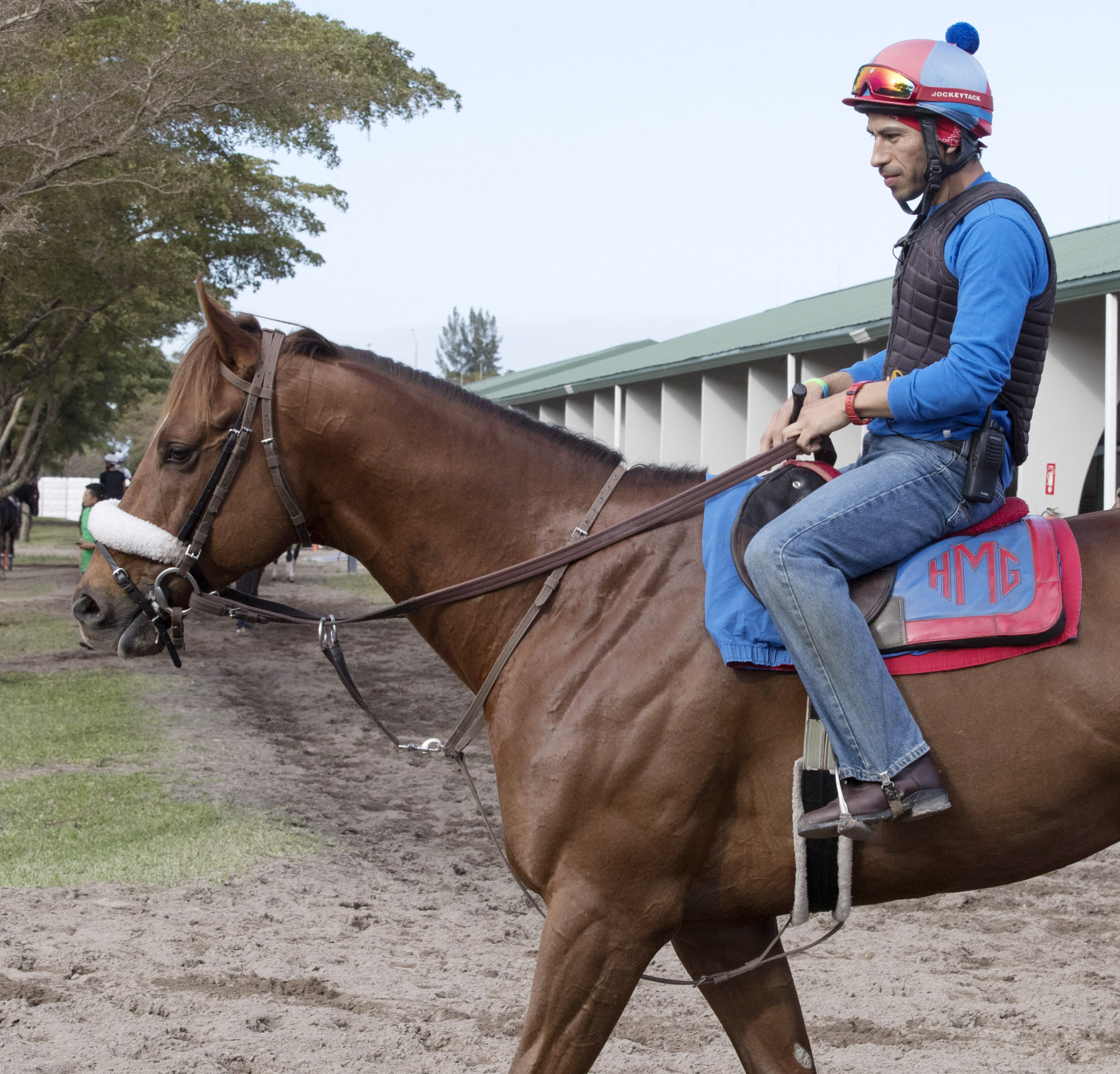 Irish War Cry at Palm Meadows on Feb. 2