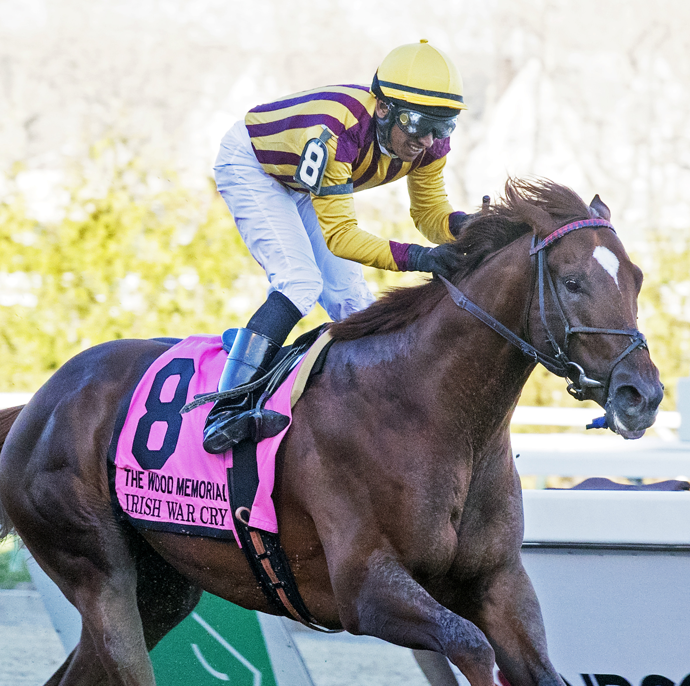 Irish War Cry
