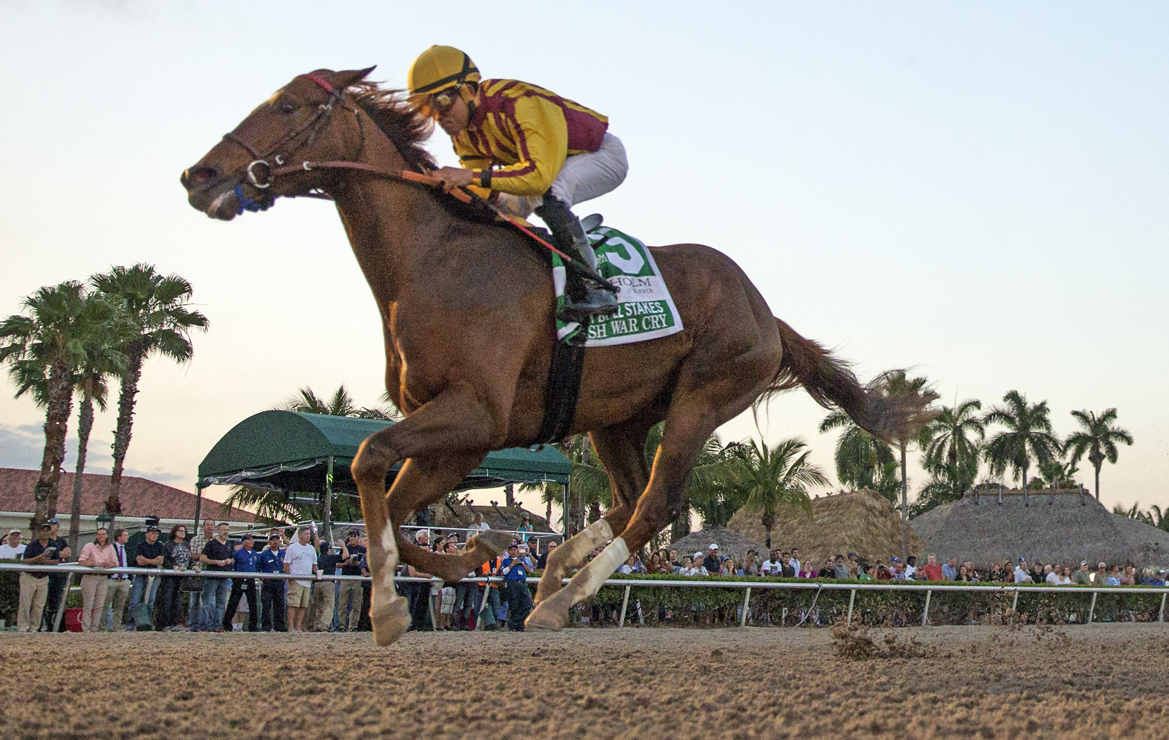 Irish War Cry 2-4-2017