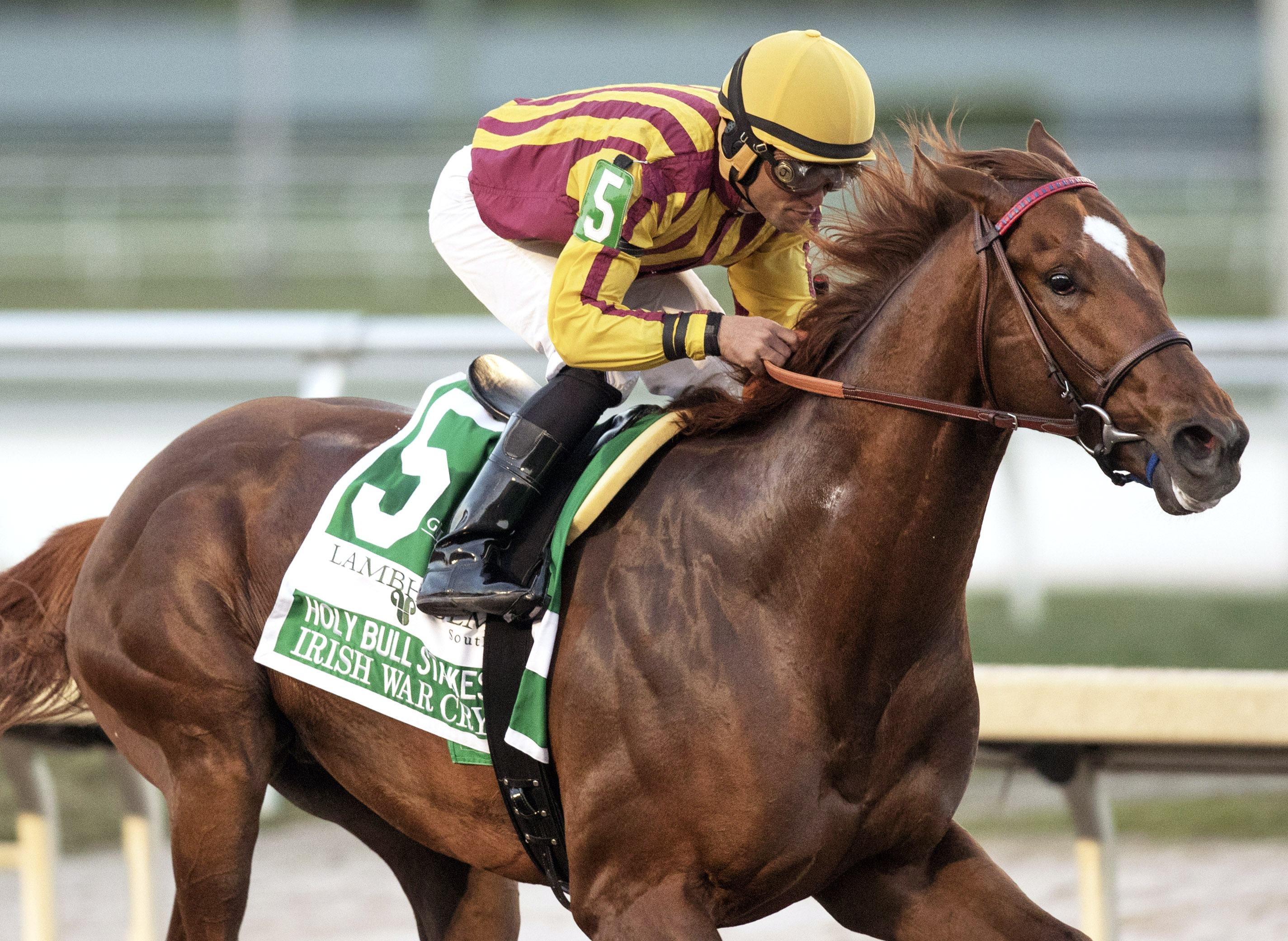Irish War Cry wins the Holy Bull
