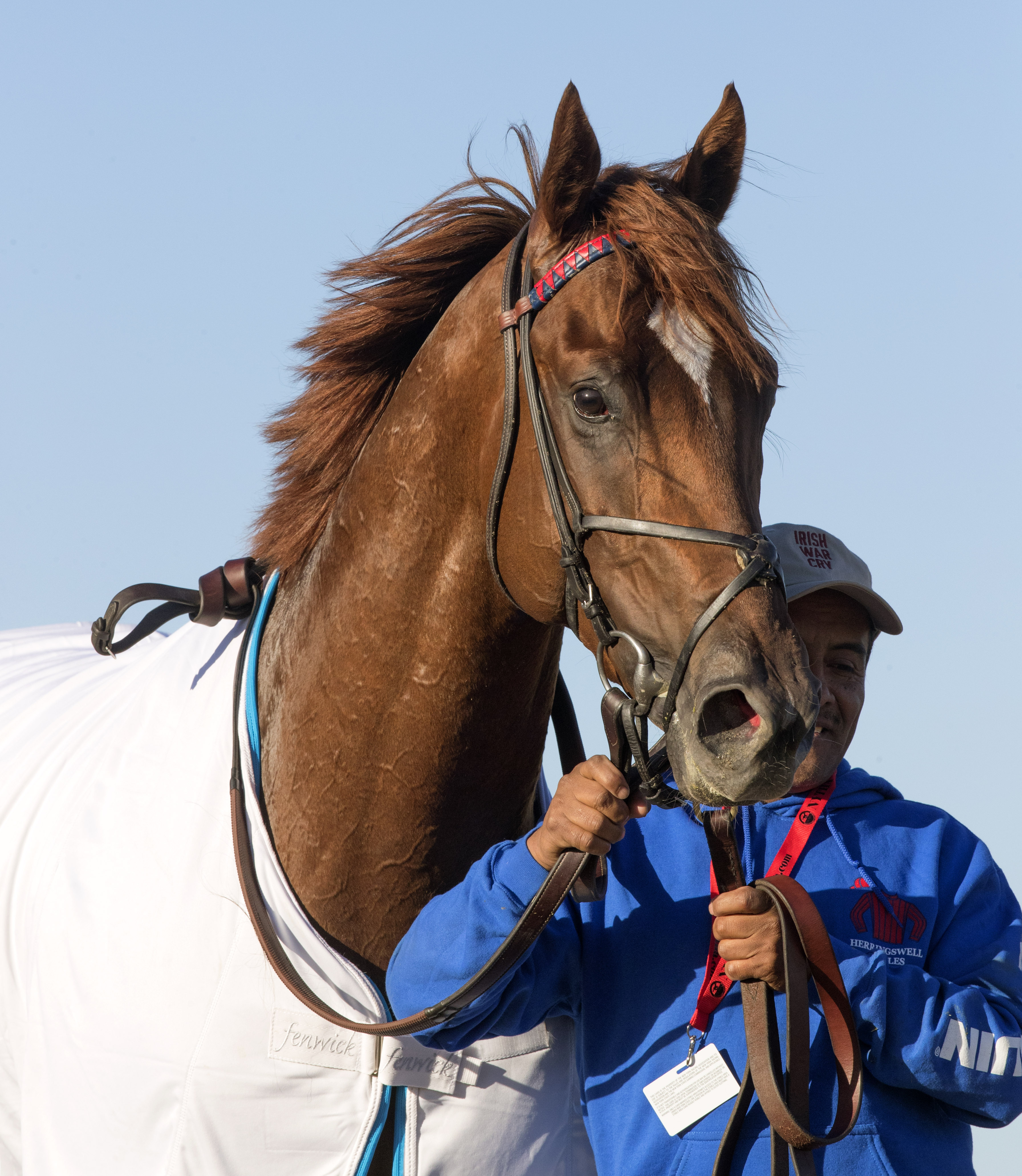 Irish War Cry