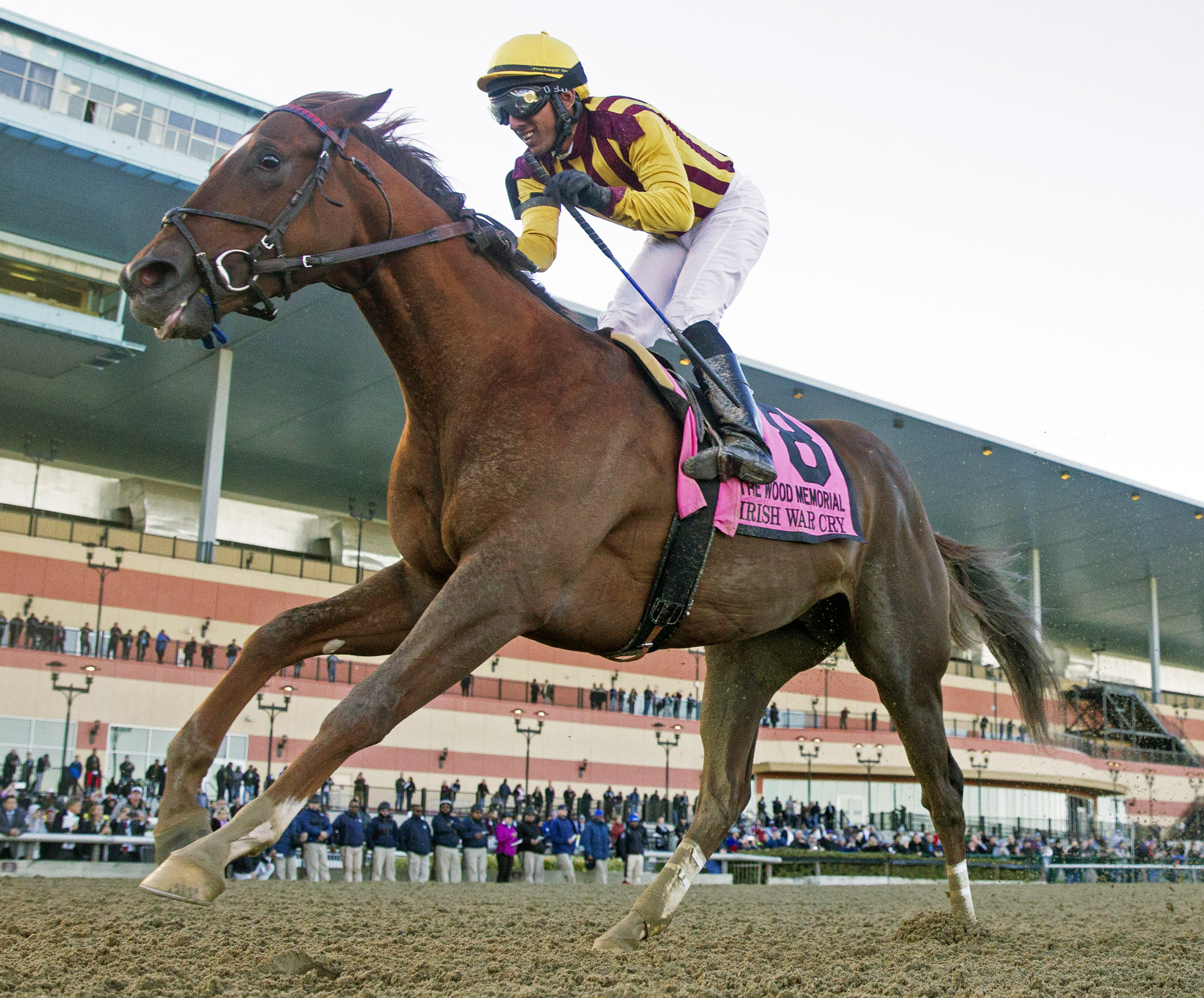 Irish War Cry wins the Wood Memorial