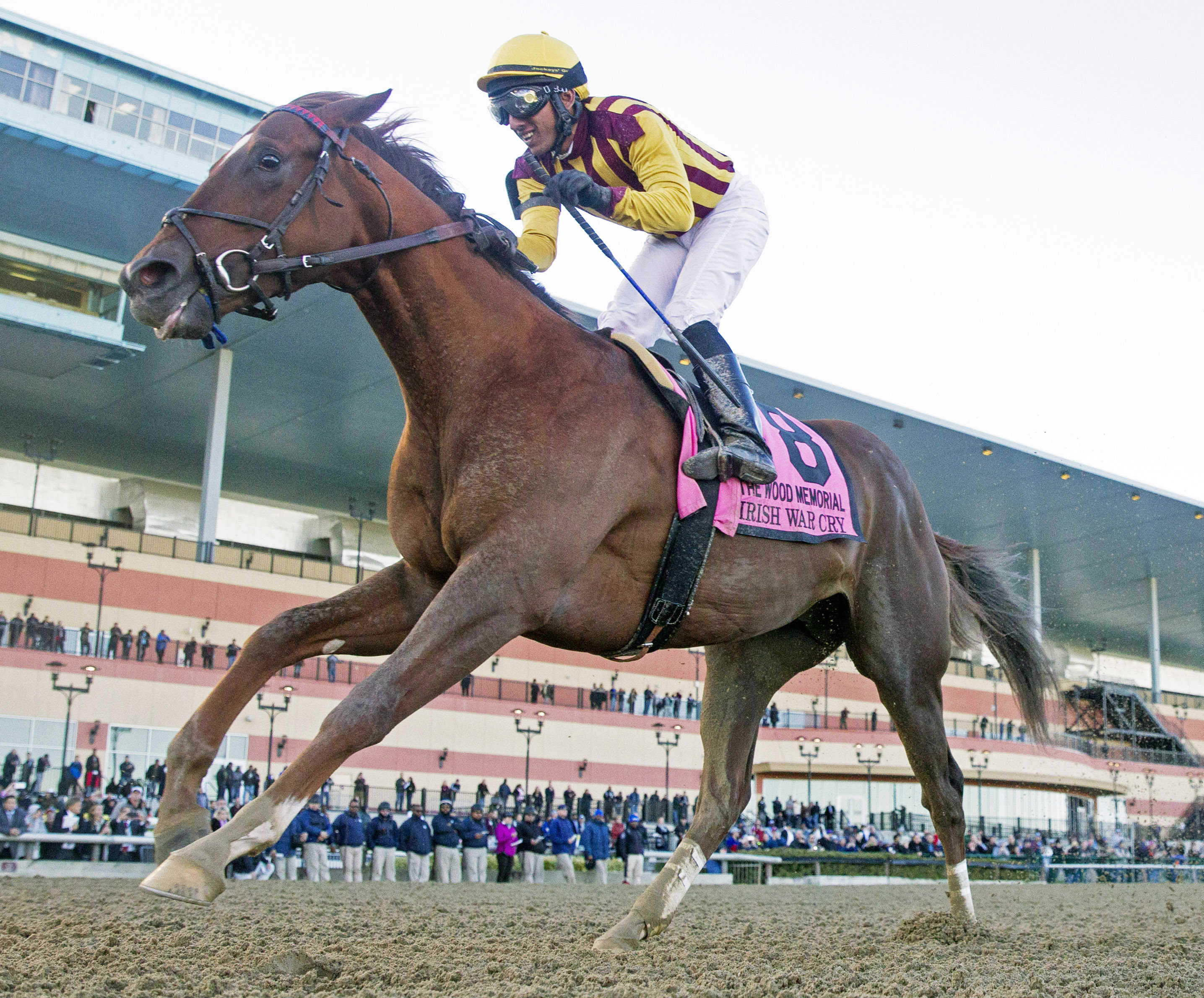 Irish War Cry wins the Wood Memorial Stakes