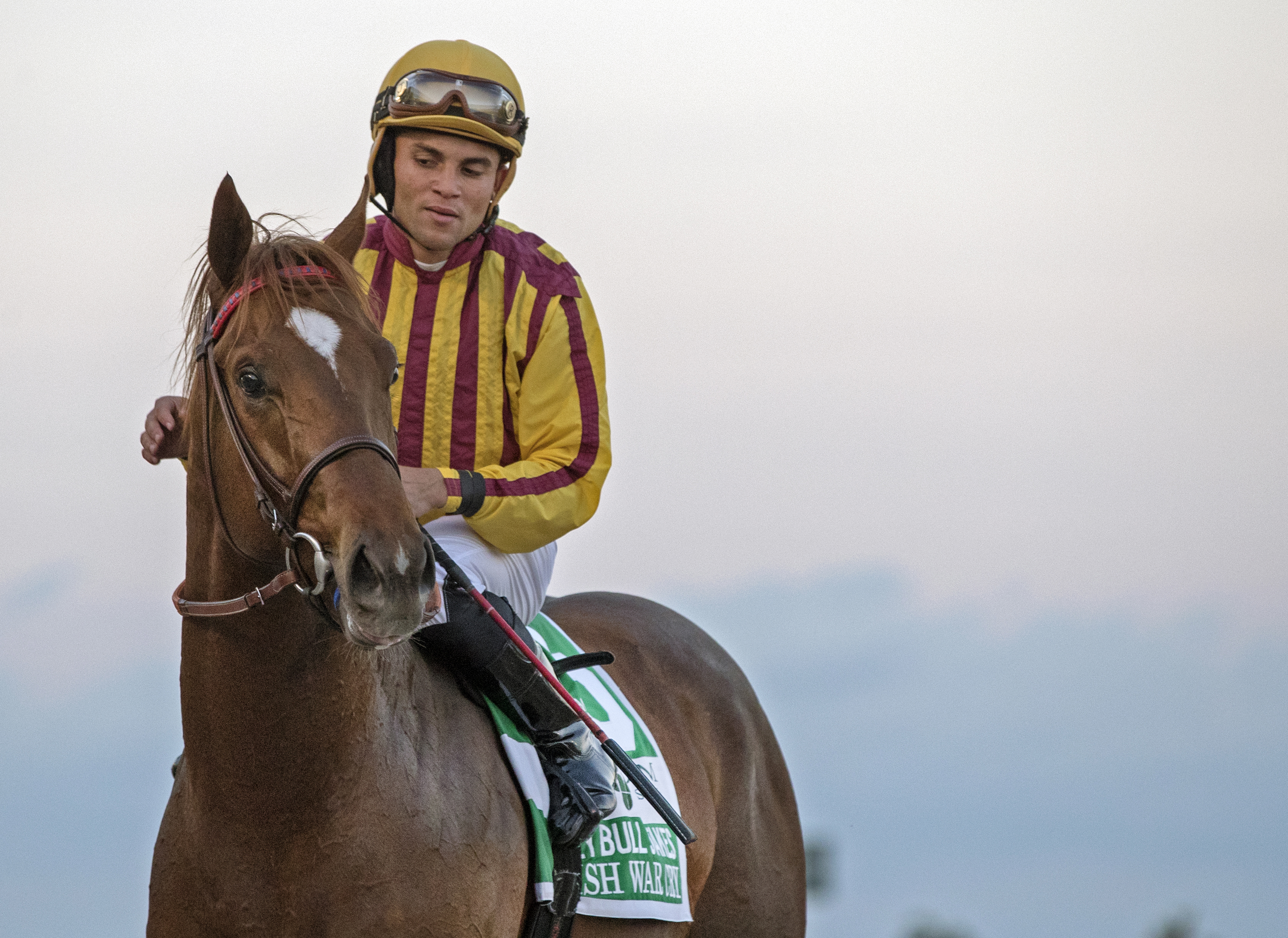 Irish War Cry after the Holy Bull