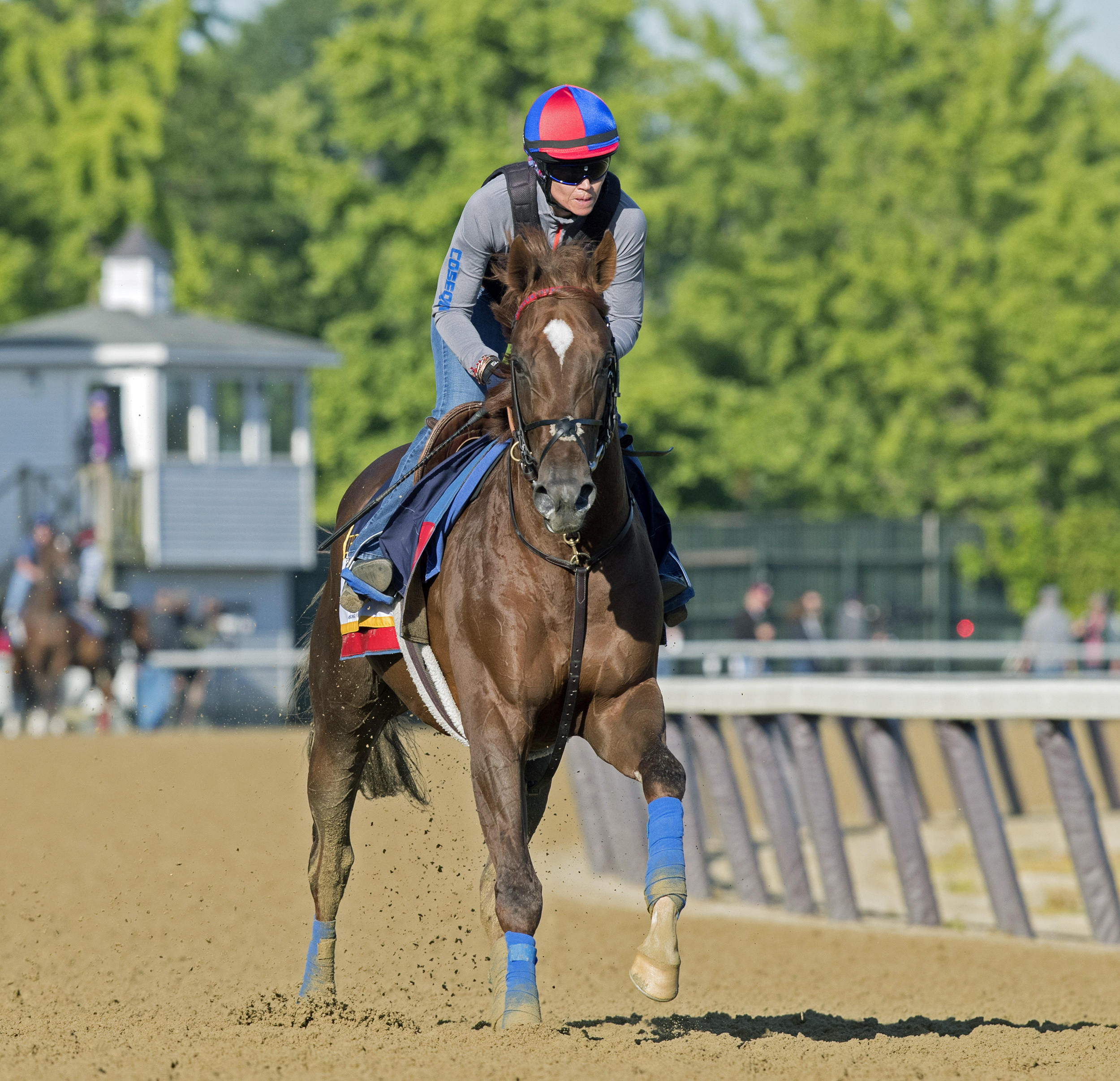 Irish War Cry trains at Belmont on May 8