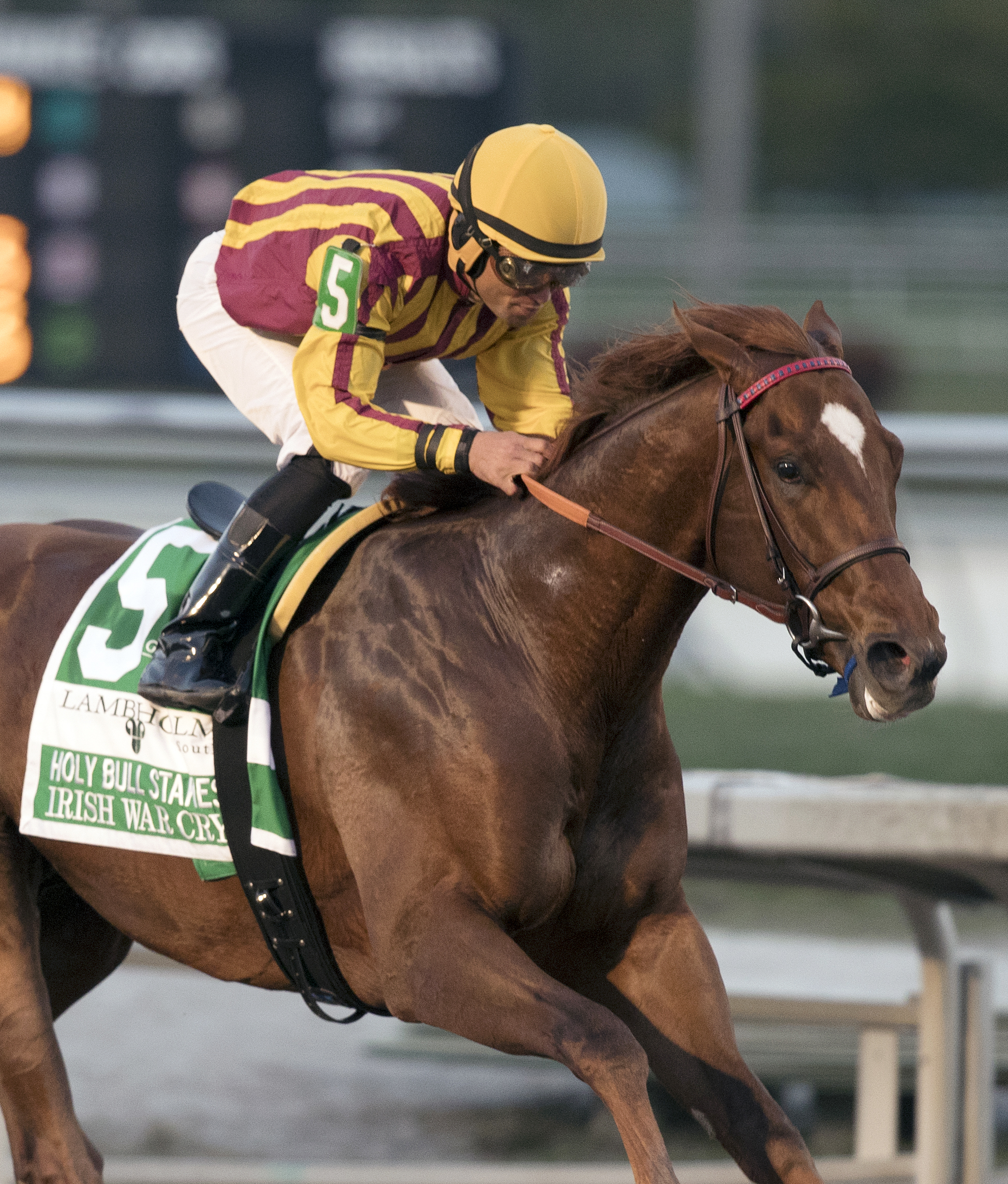 Irish War Cry wins the Holy Bull