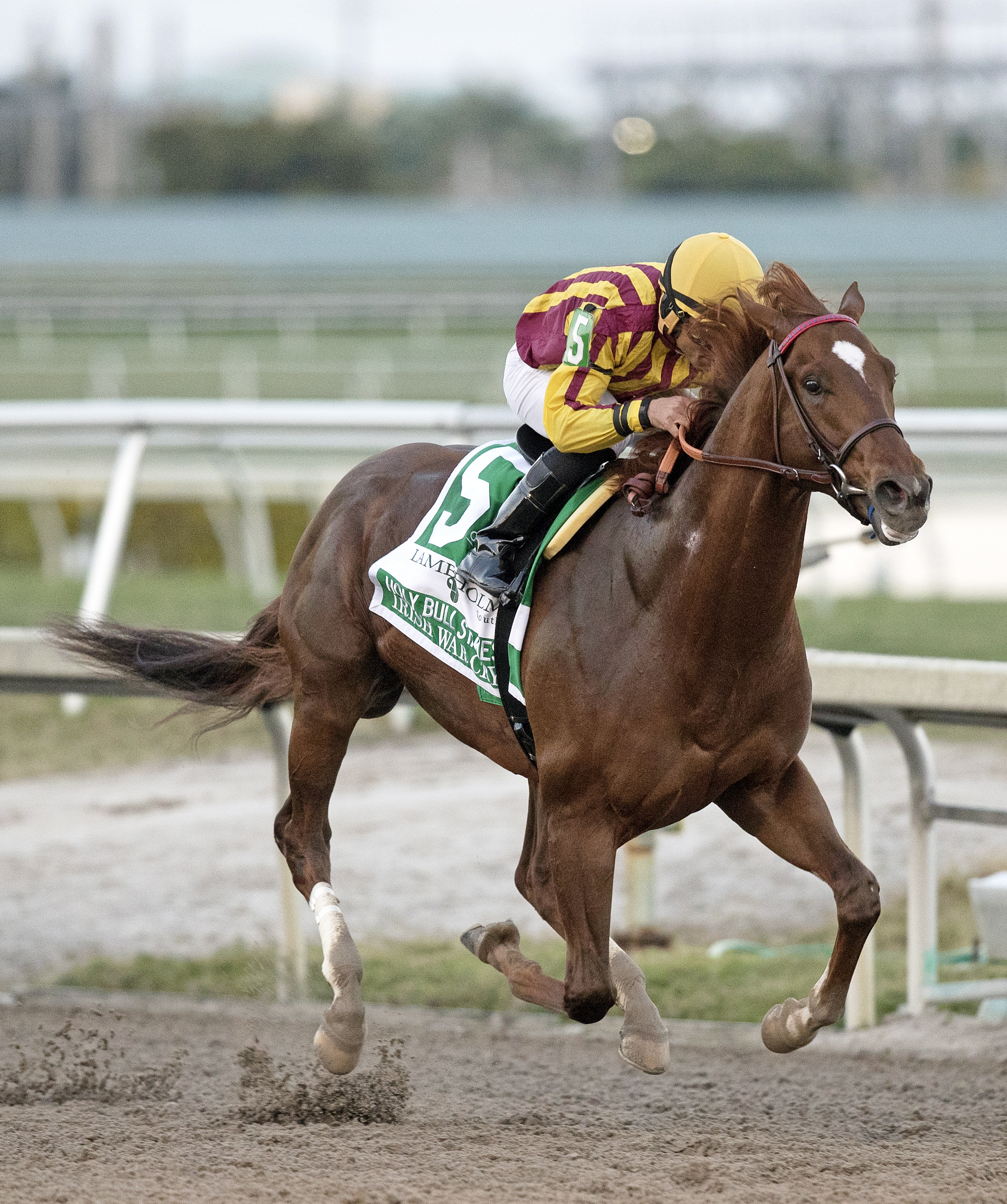 Irish War Cry wins the Holy Bull