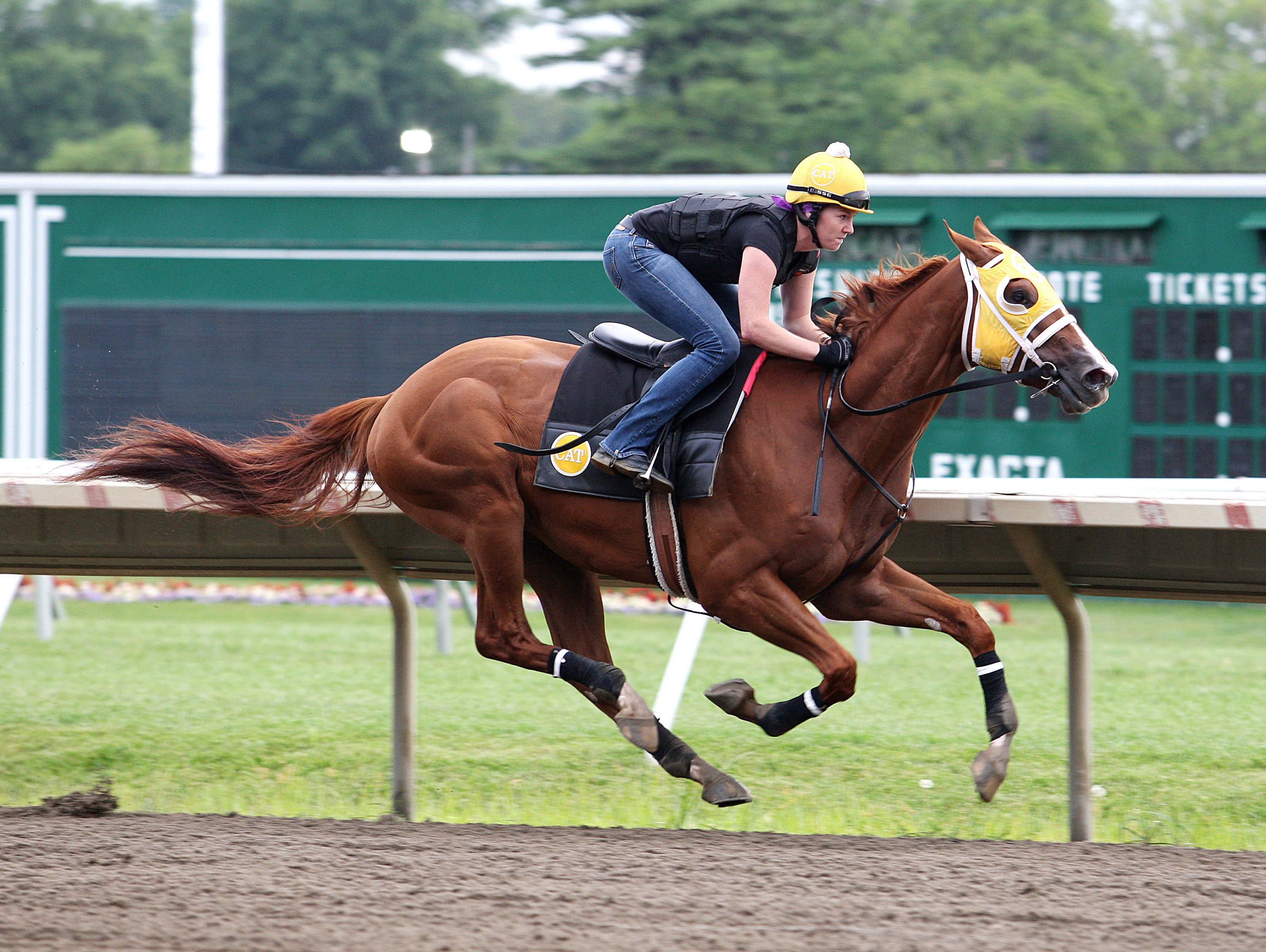Irish You Well works at Monmouth on July 19
