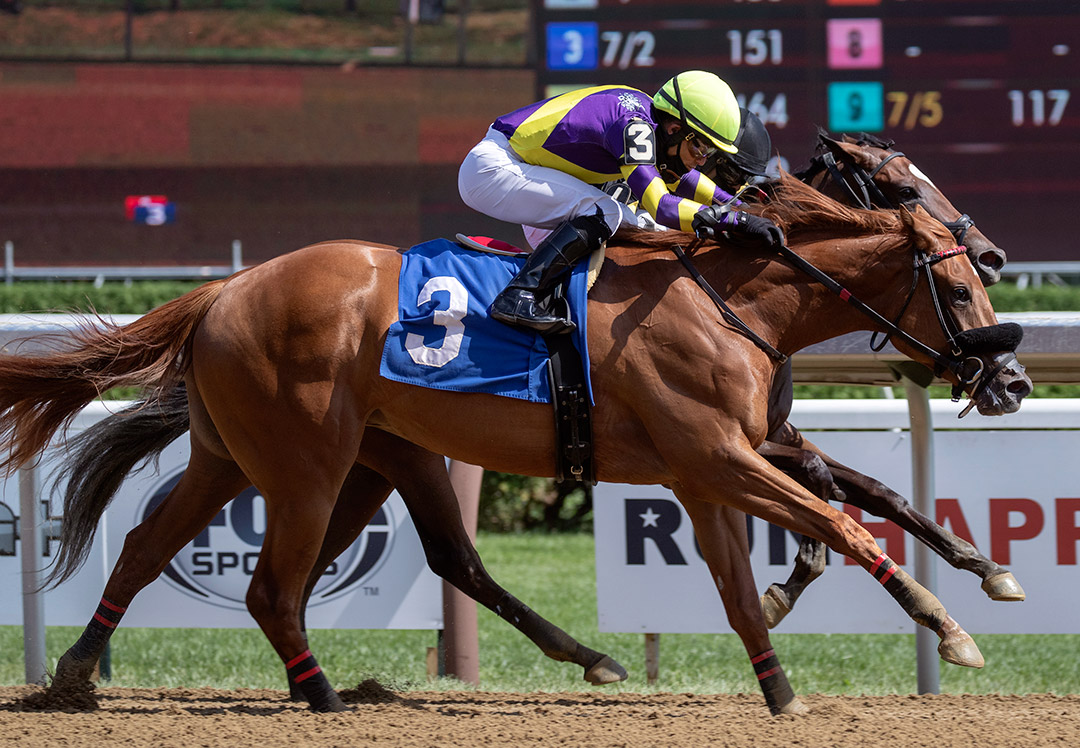 Irish Constitution (3) wins a July 2020 maiden race at Saratoga Race Course