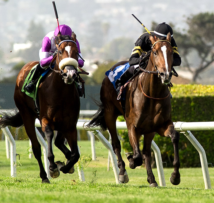 Irish Heatwave (right) wins the 2019 Silky Sullivan Stakes at Golden Gate Fields