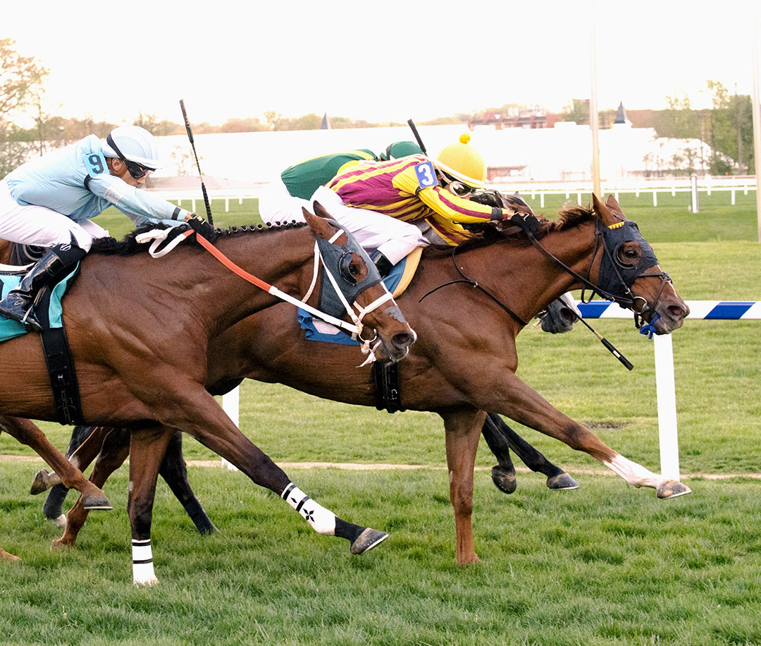 Irish Strait wins the 2019 Henry S. Clark Stakes at Laurel Park