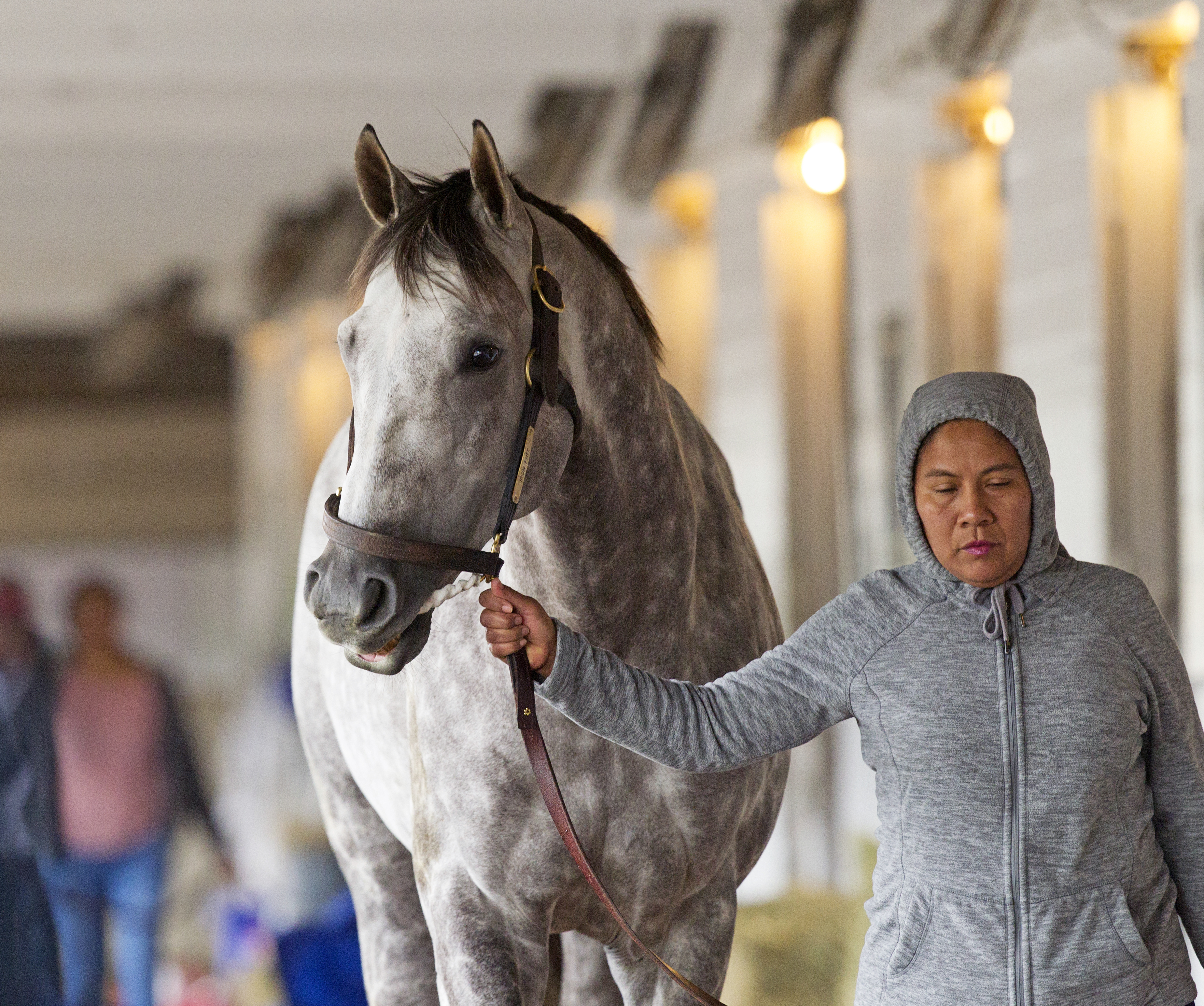 Iron Fist at Churchill Downs on April 23