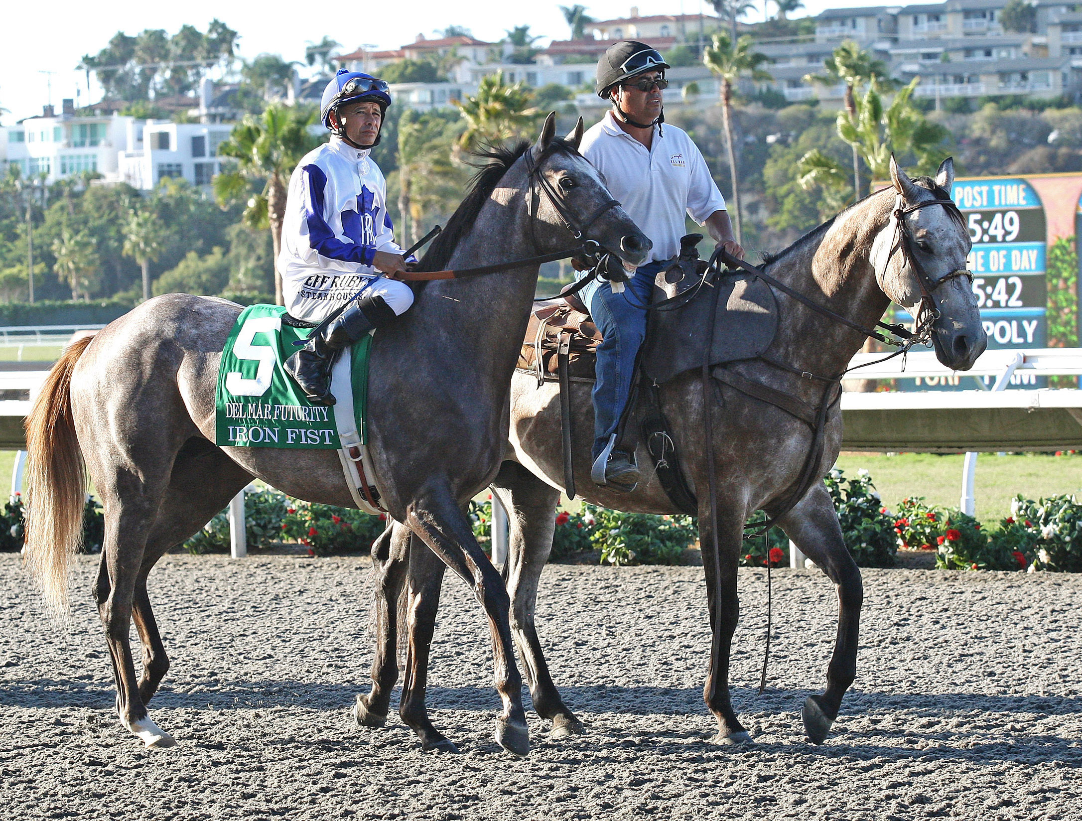 Iron Fist at the 2014 Del Mar Futurity