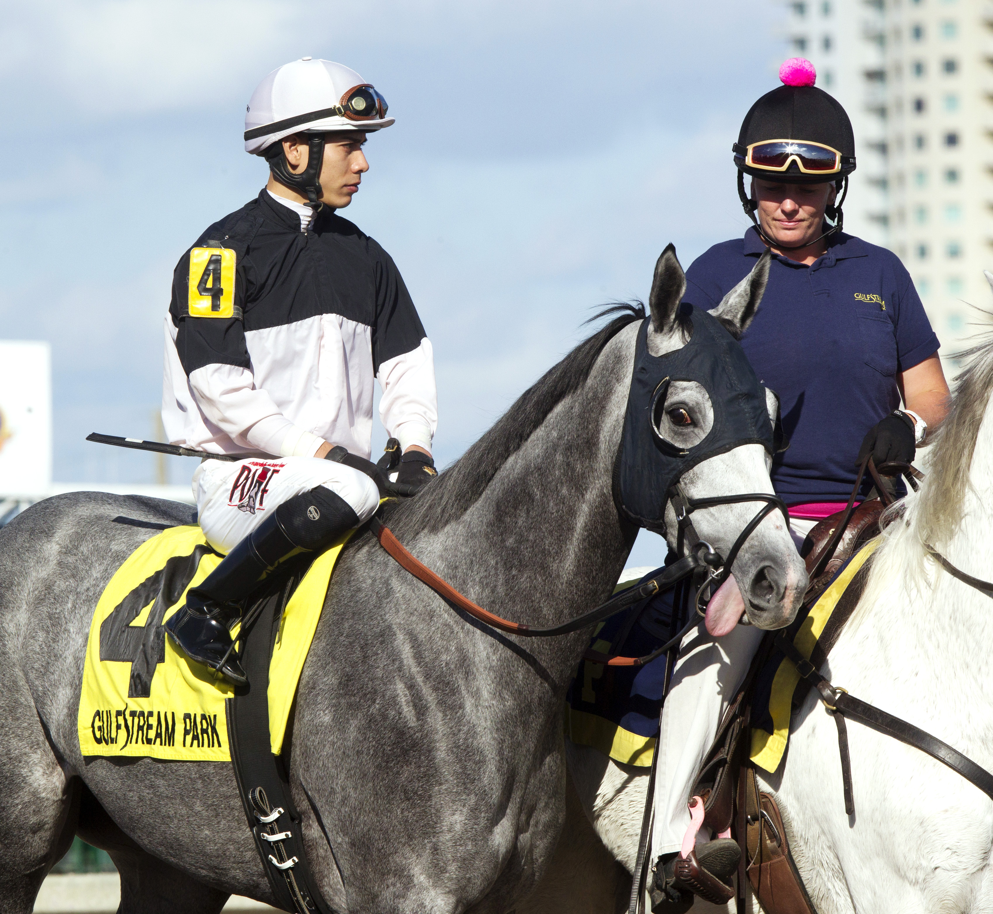 Iron Power at the Florida Sunshine Millions Turf Stakes