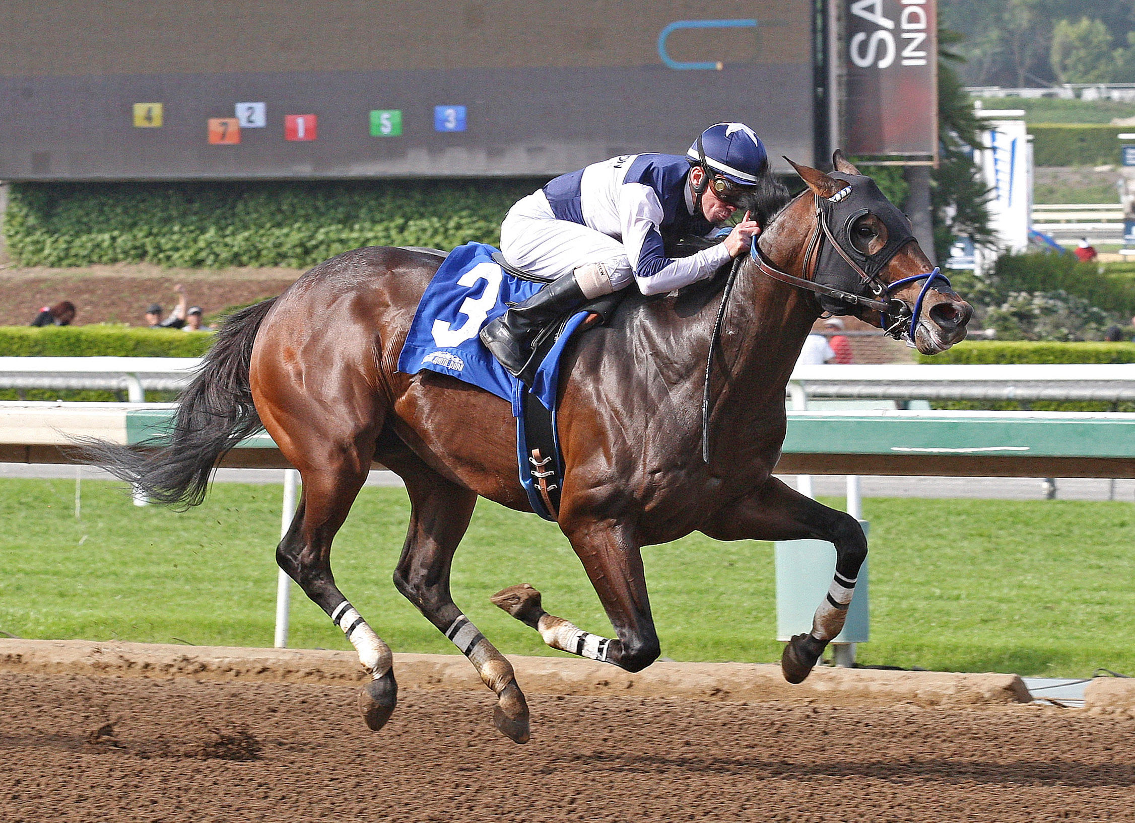 Iron Rob wins the San Pedro Stakes