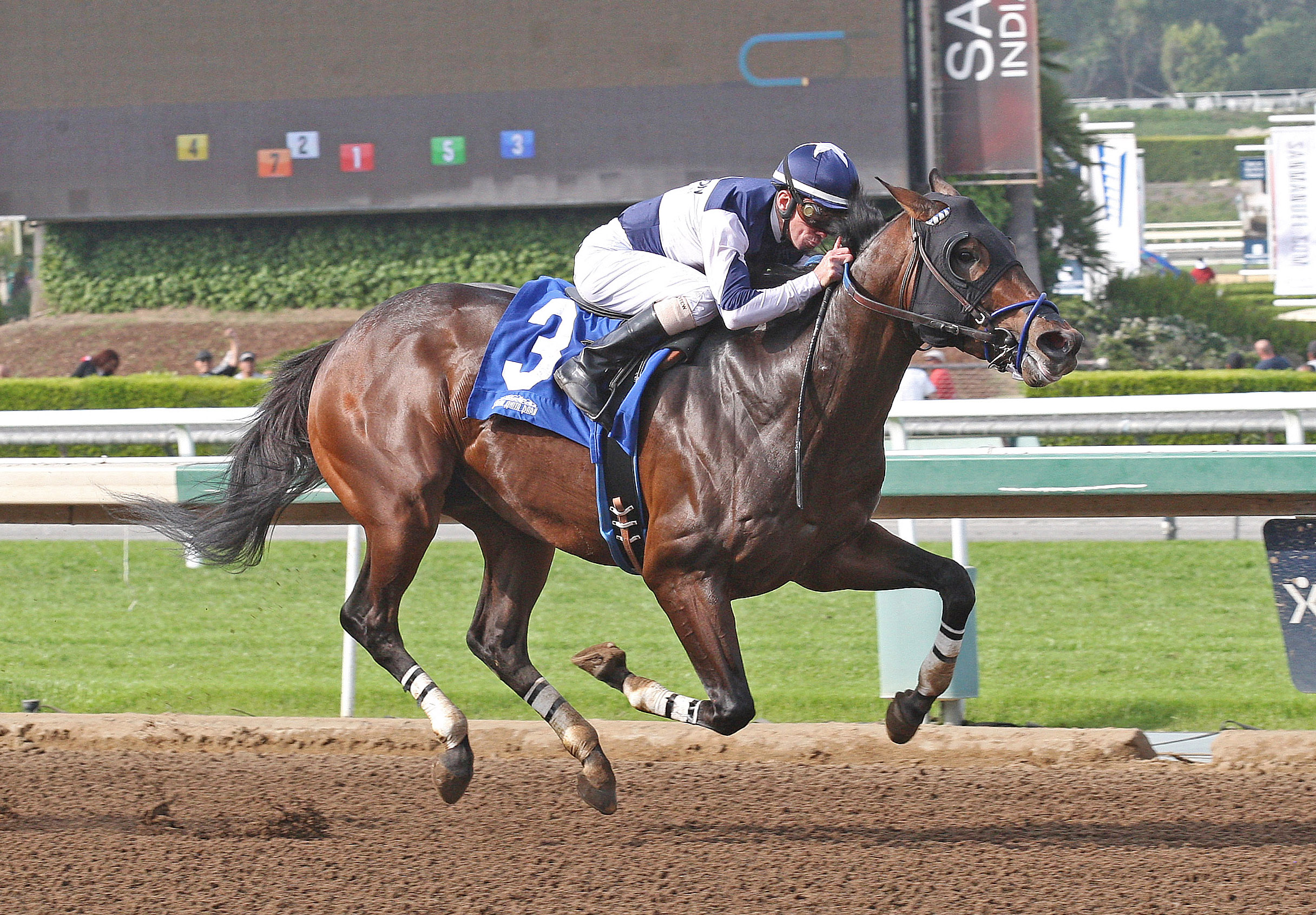 Iron Rob wins the San Pedro Stakes